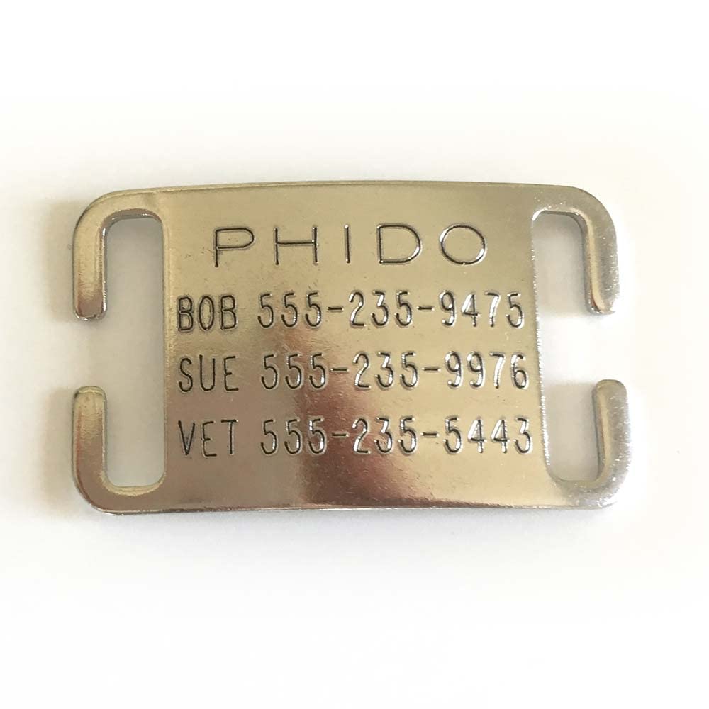 Boomerang Tags Dog Tag Lasts Your Pets Lifetime Personalized Collar