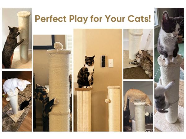PAWSCRAT Cat Scratching Post High, Large Diameter Natural Scratcher