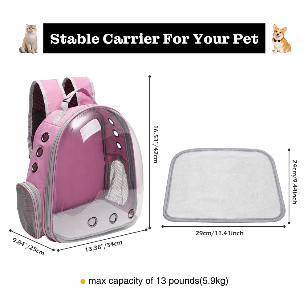 Vivicreate Large Cat Backpack Carrier for Travel and Hiking Carrier