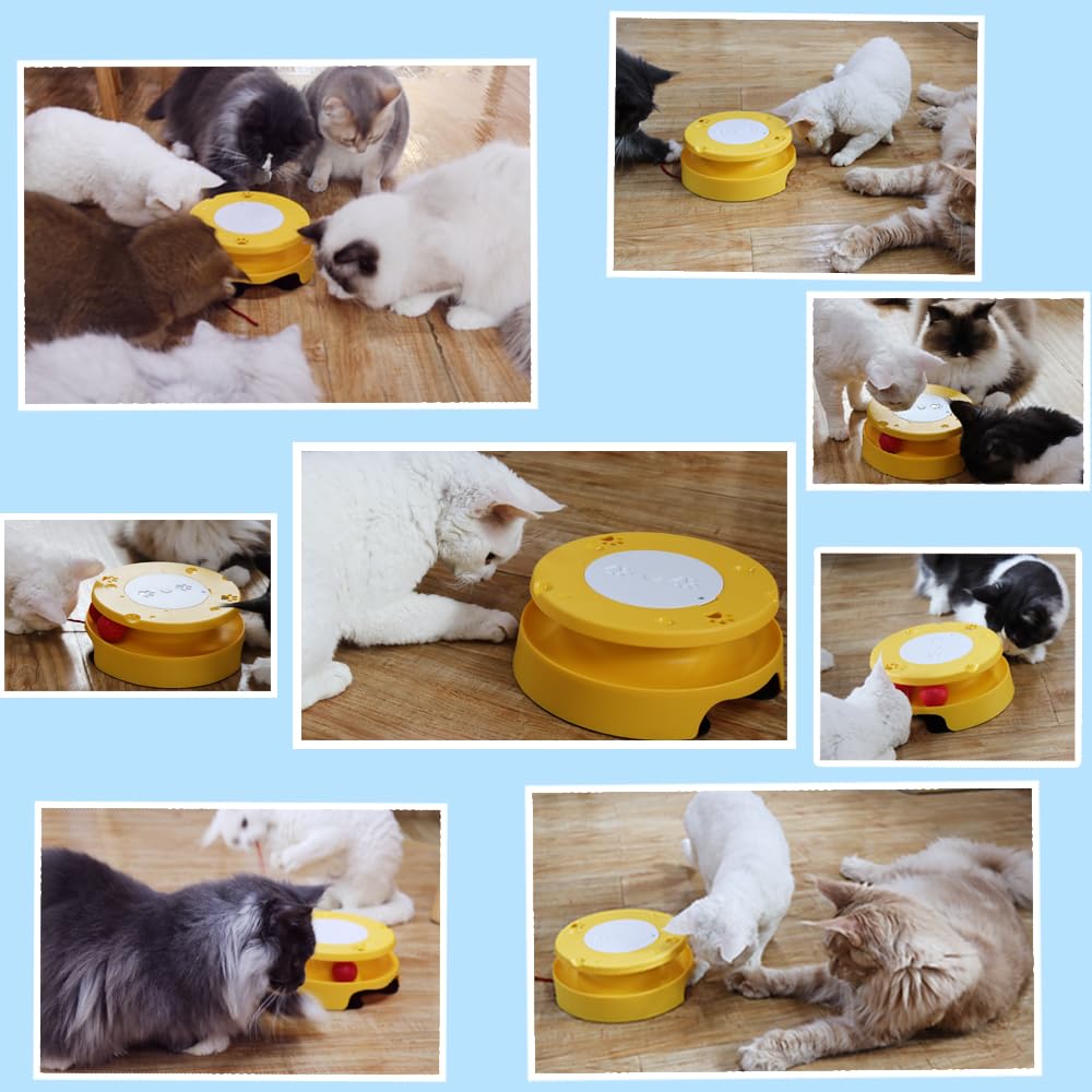 LASOCUHOO 2-in-1 Automatic Cat Toy with Track Jumping String Balls