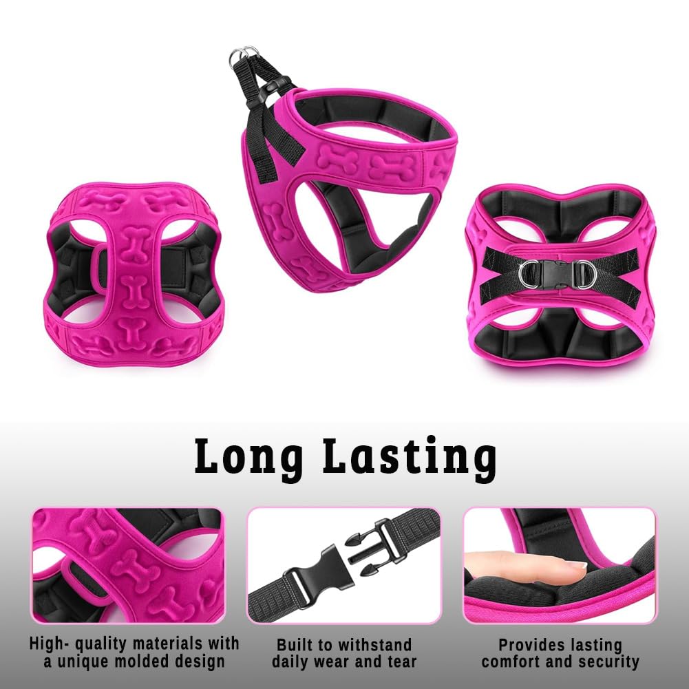 Comfort Fit No Pull Dog Harness