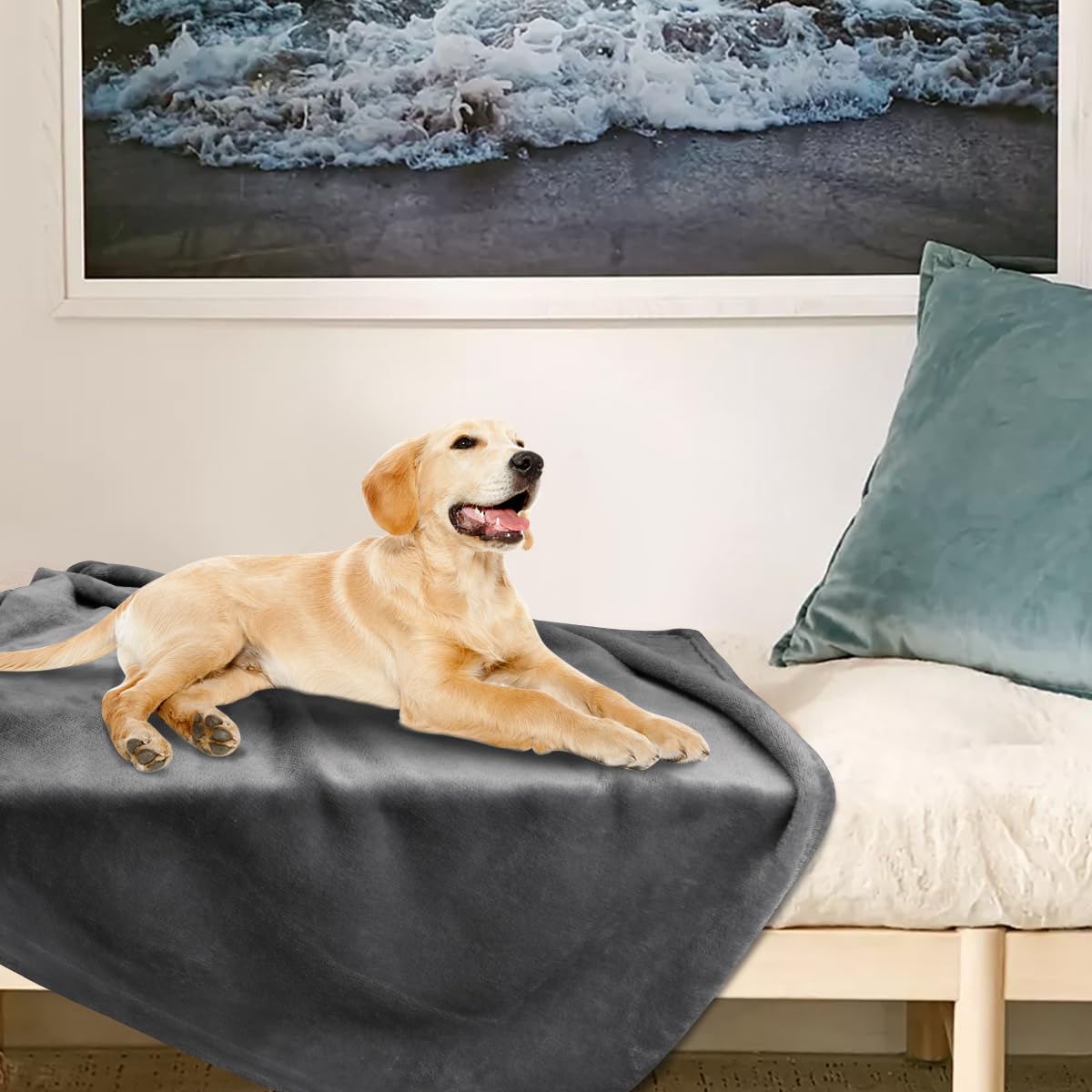 Onarway Dog Blanket Washable for Bed: 2 Packs Dog Blankets Crate