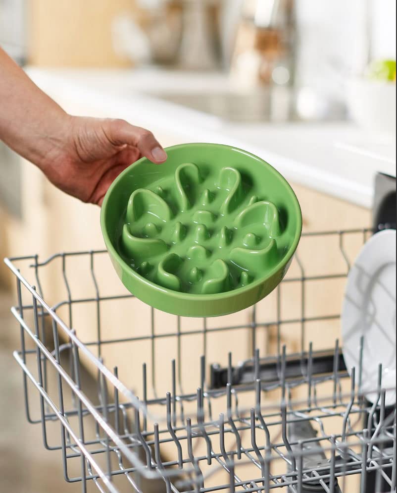 LE TAUCI Ceramic Slow Feeder Dog Bowls Elevated Feeder