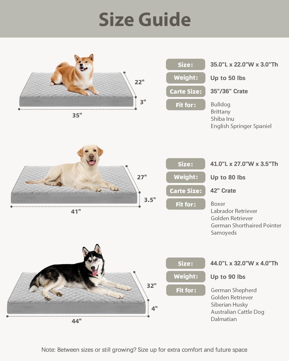 NUPIDA Orthopedic XL Dog Beds Large Sized Dog Waterproof Bed