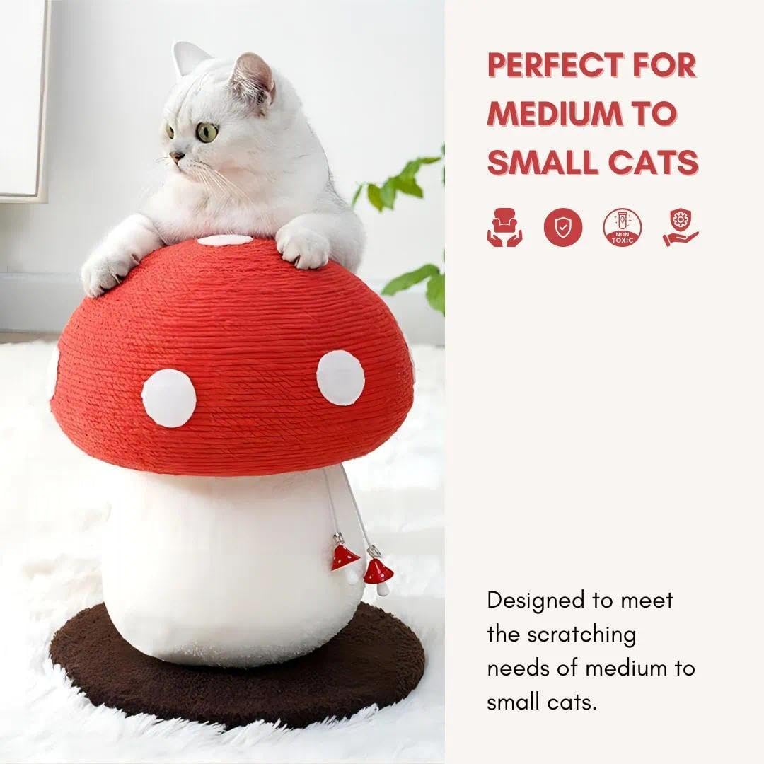 No Assembly Required Mushroom Cat Scratcher, Cute Cat Scratching Toy