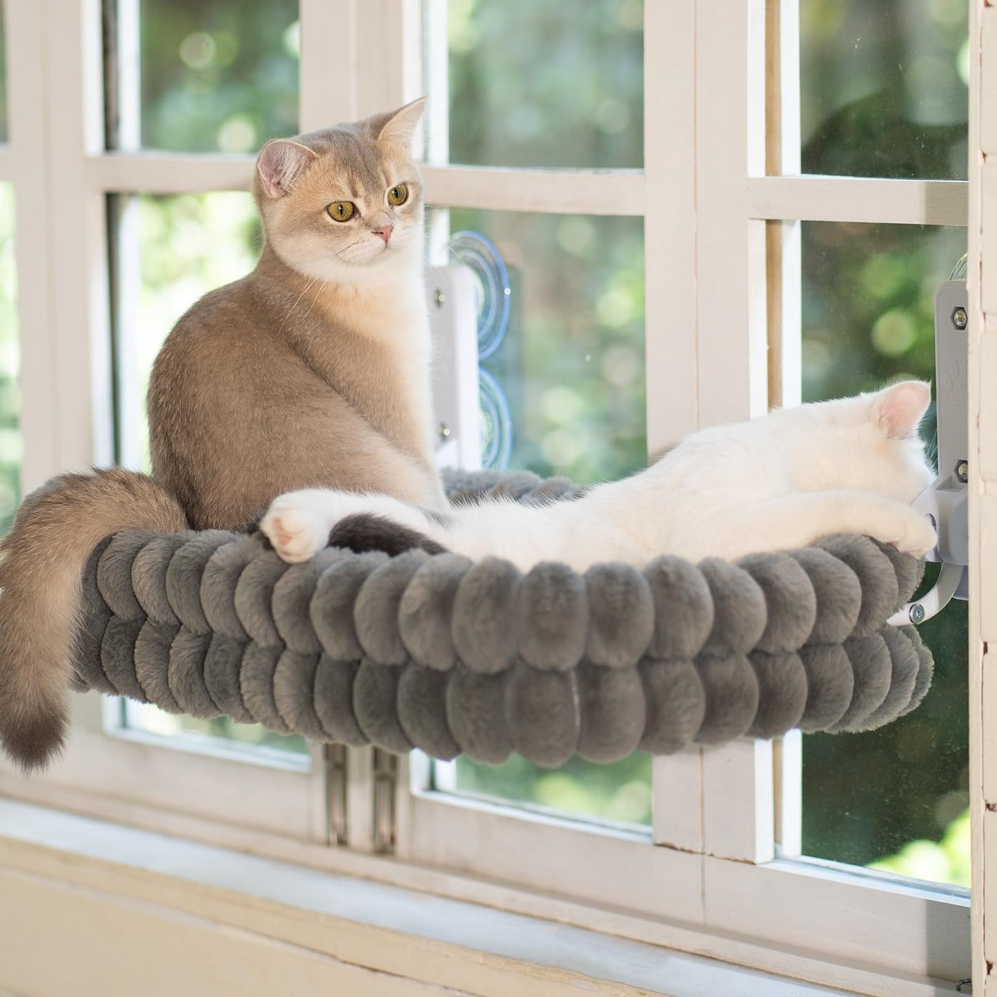 CHEERPALS Cat Window Perch for Indoor Cats Hammock for Window Bed