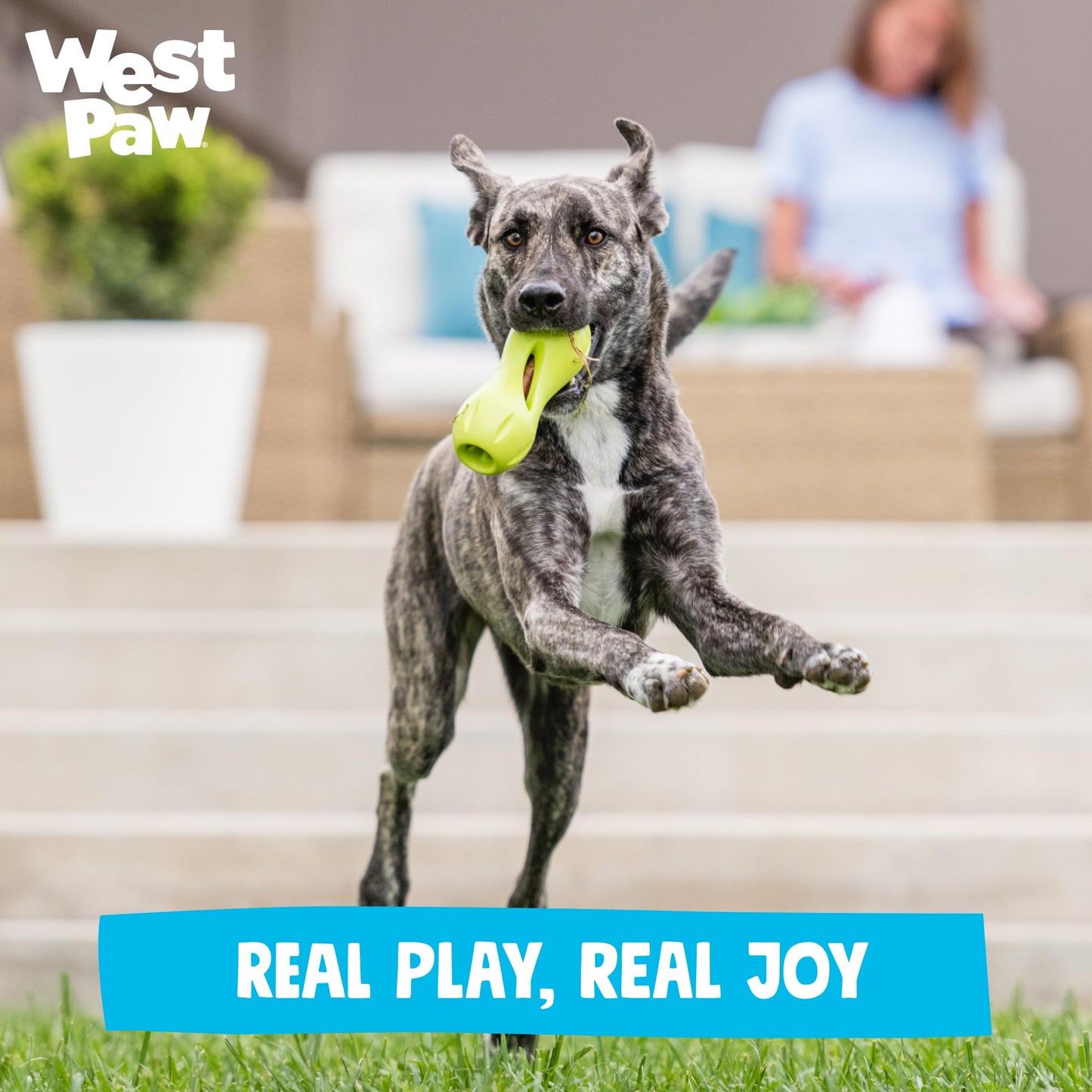 West Paw Zogoflex Qwizl Interactive Treat Dispensing Dog Puzzle Toy