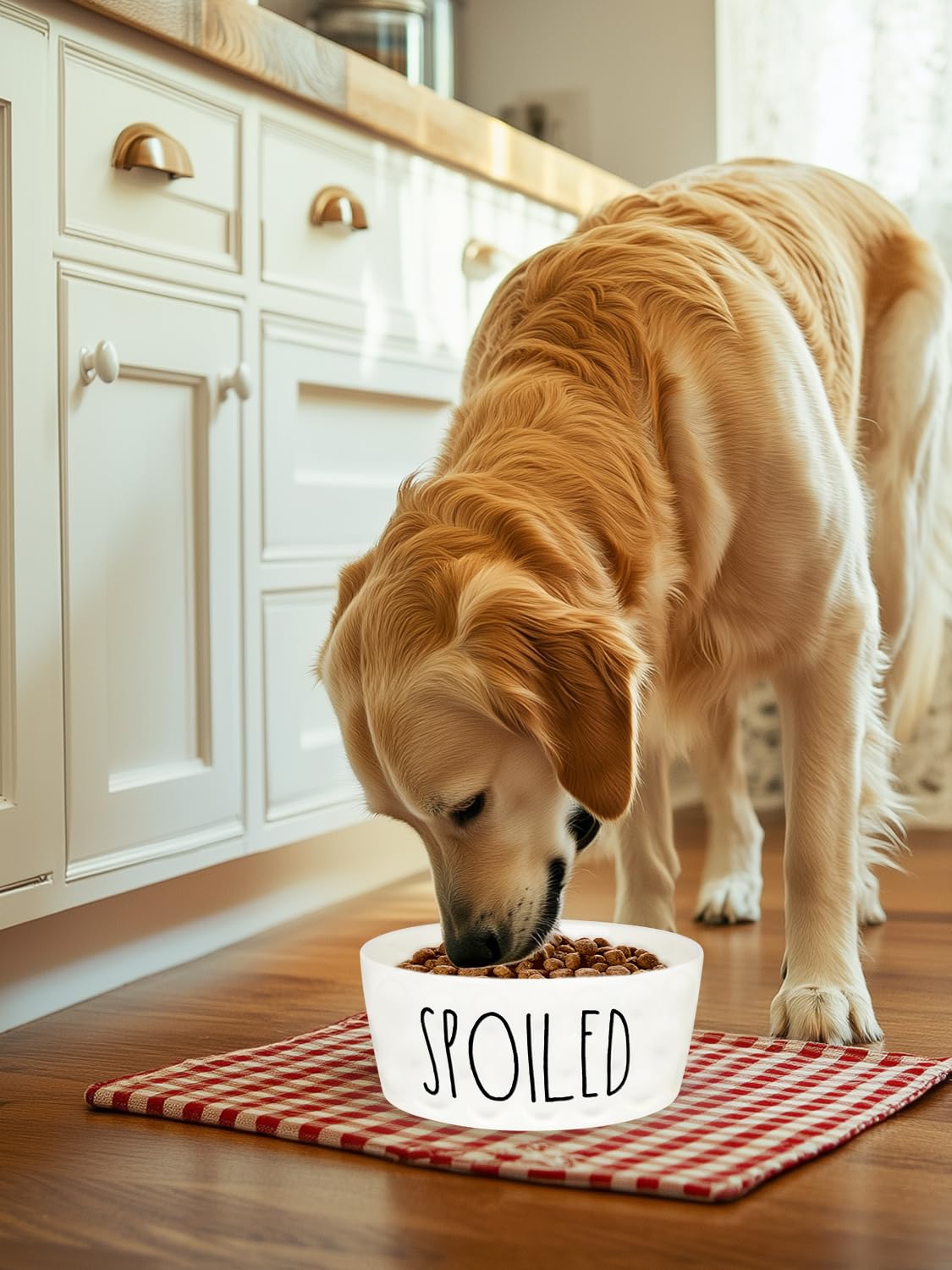 WoofinPets Ceramic Dog Bowl 8'' Non-Slip Feeder