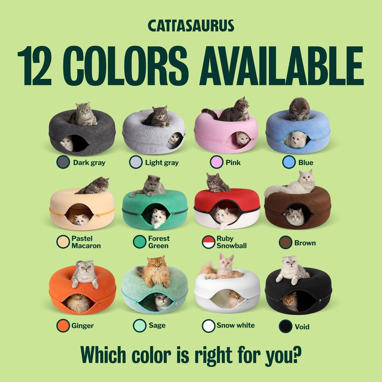 Cattasaurus Peekaboo Cat Cave for Multiple Large Cats Up to 30 Bed