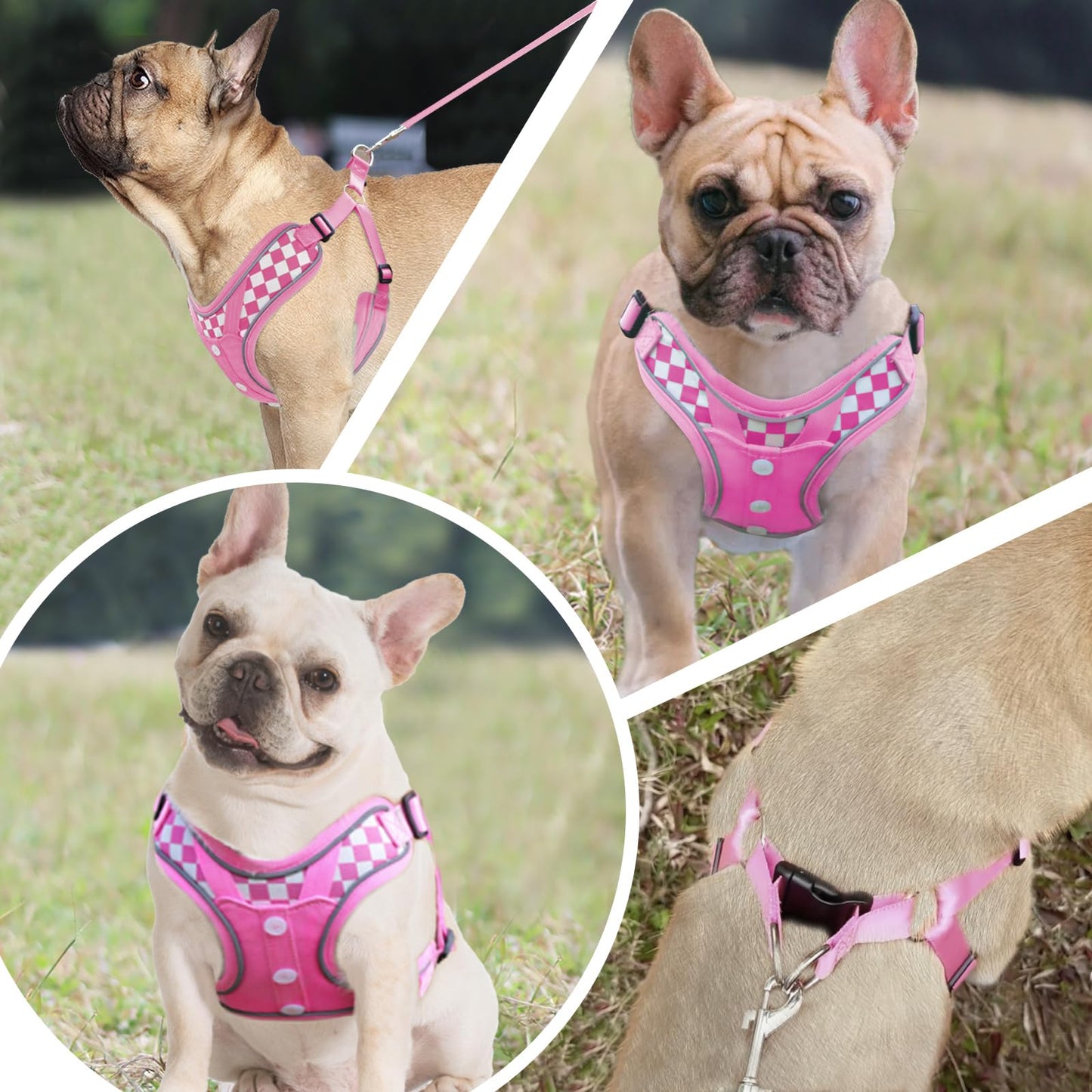 Fashion Lovely Dog Harness with Leash Set, No Pull Adjustable Step Set