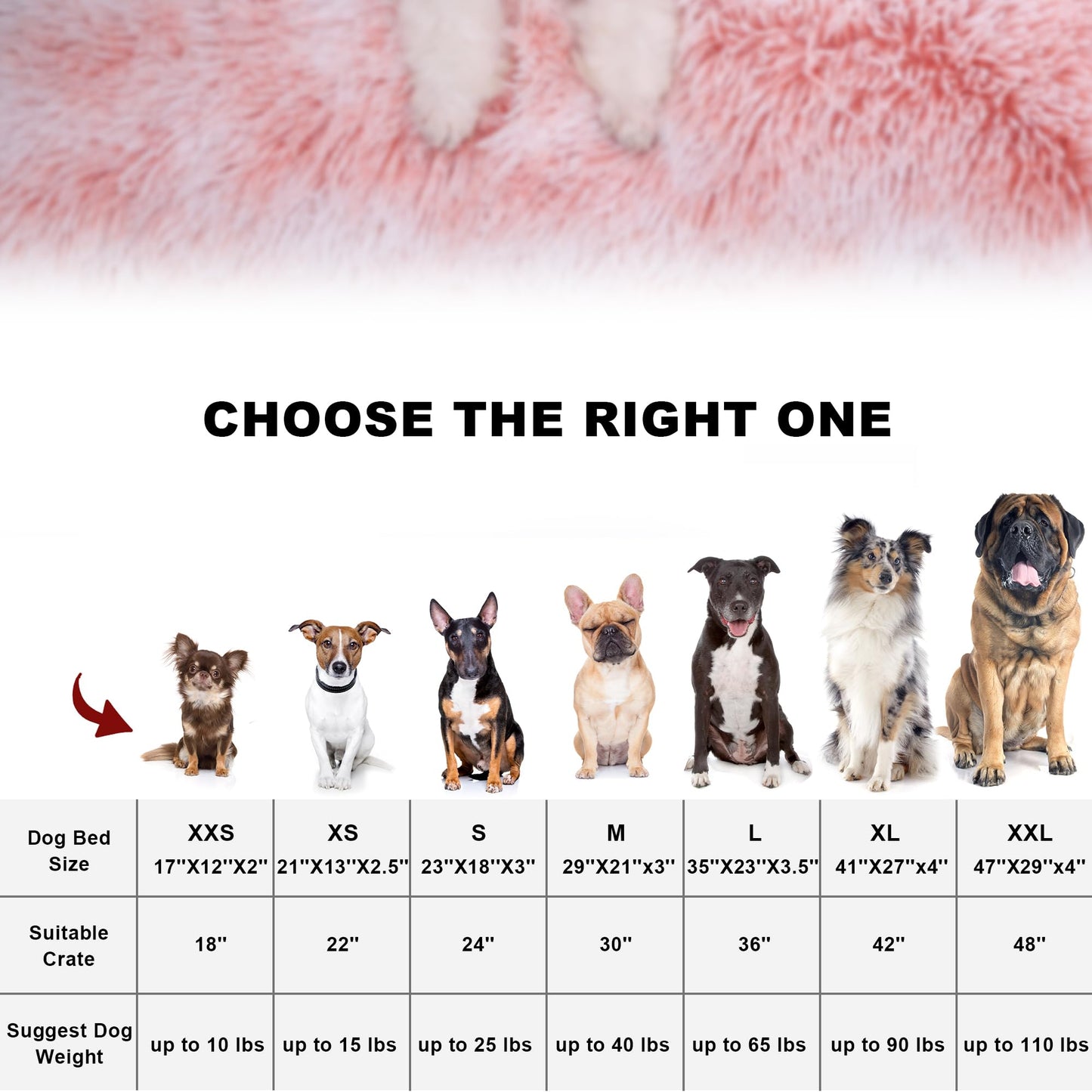 Bedfolks Plush Waterproof Dog Crate Bed with Removable Washable Bed