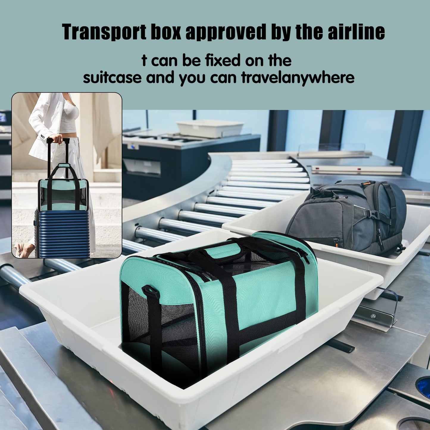 Cat Carrying Case Pet Carrier, Up to Soft Sided Protable and Carrier
