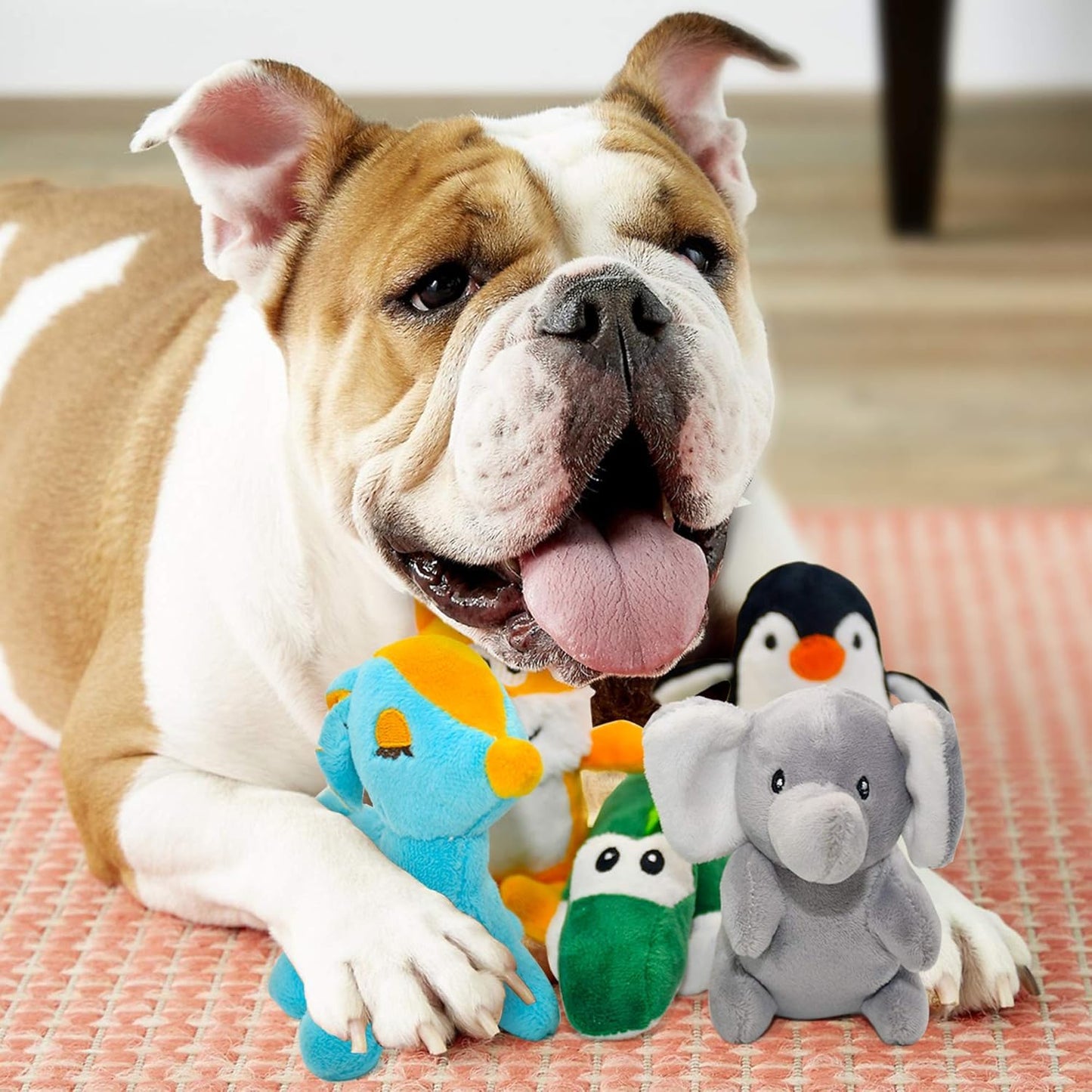 SHARLOVY Dog Squeaky Toys for Small Dogs,Stuffed Animal Puppy Plush