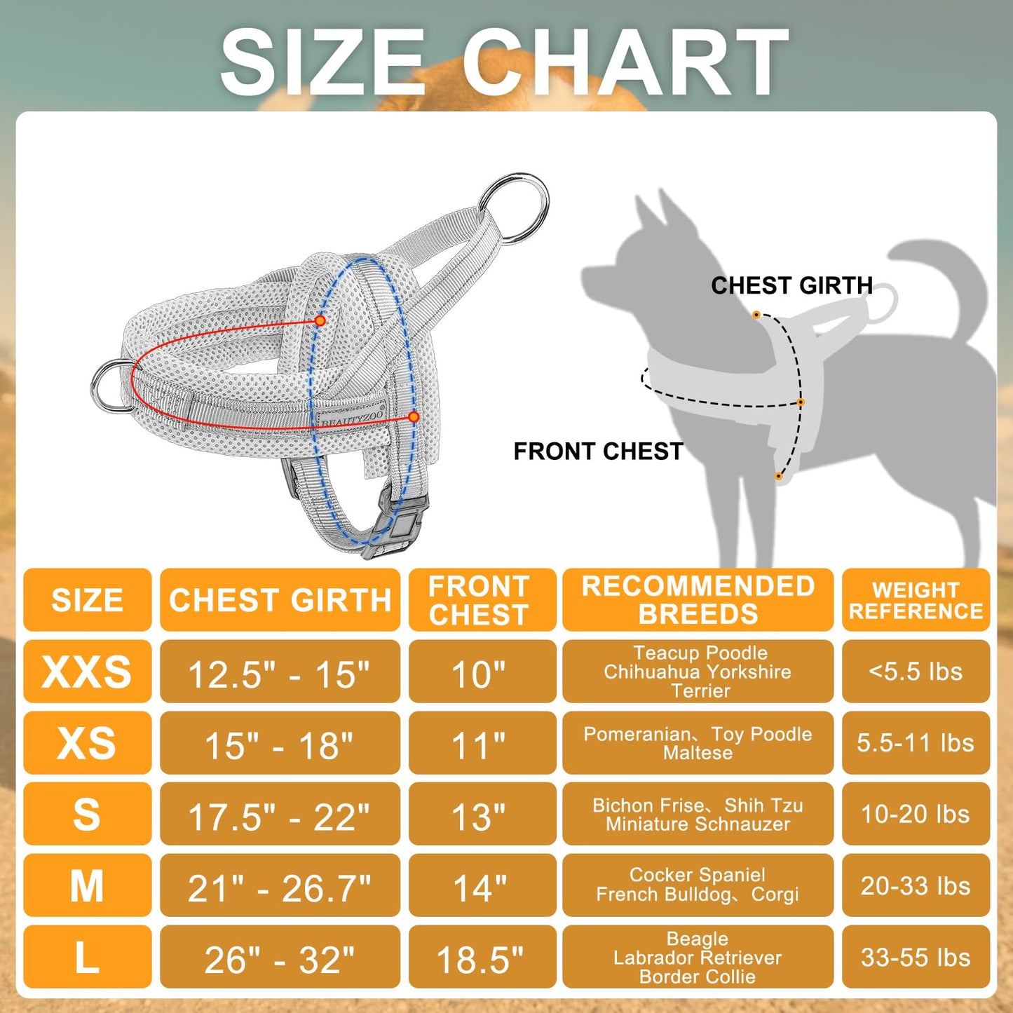 BEAUTYZOO Dog Harness for Small Dogs, No Pull Dog Harness and Leash