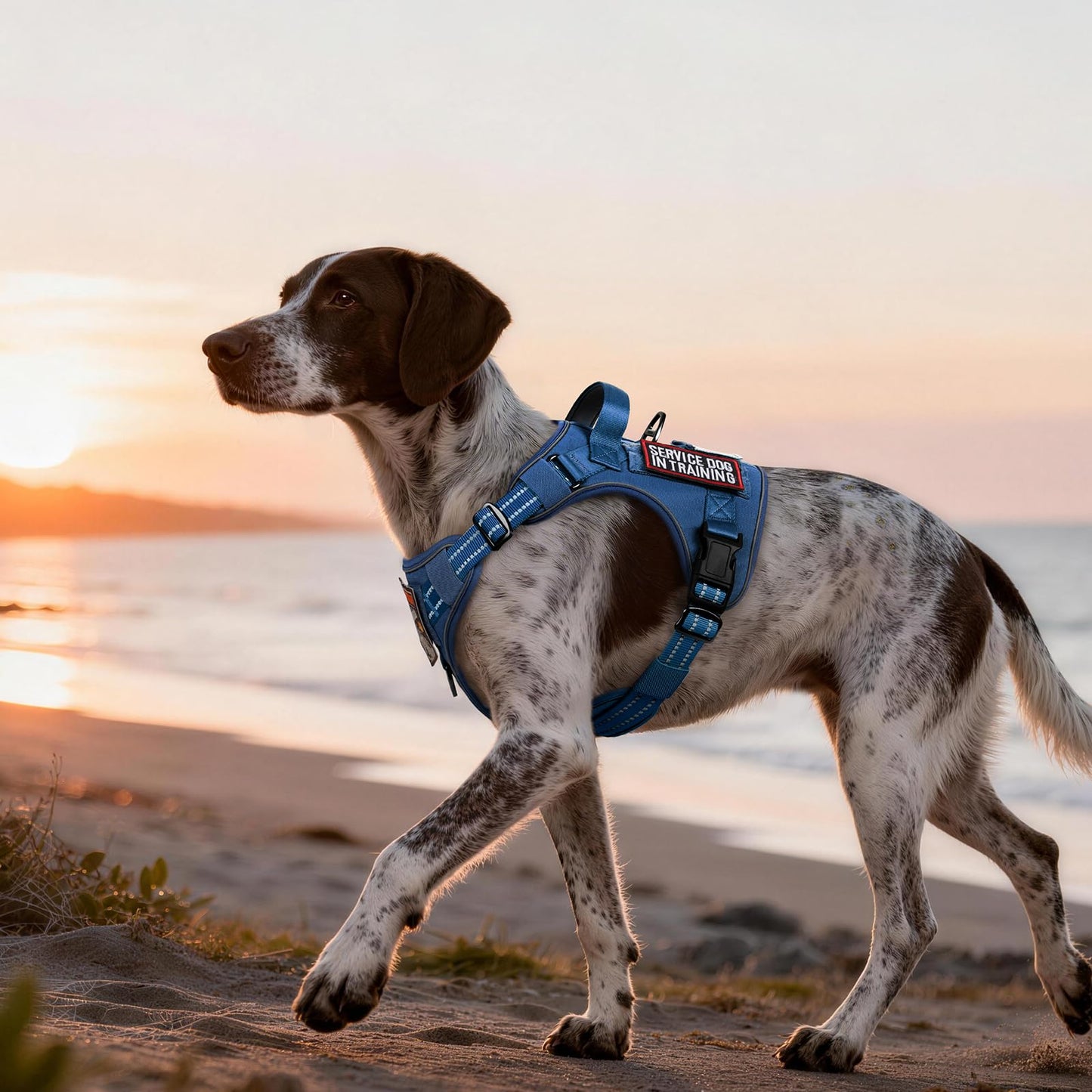rabbitgoo Dog Harness Medium Sized No Pull, Tactical Service Pet Vest