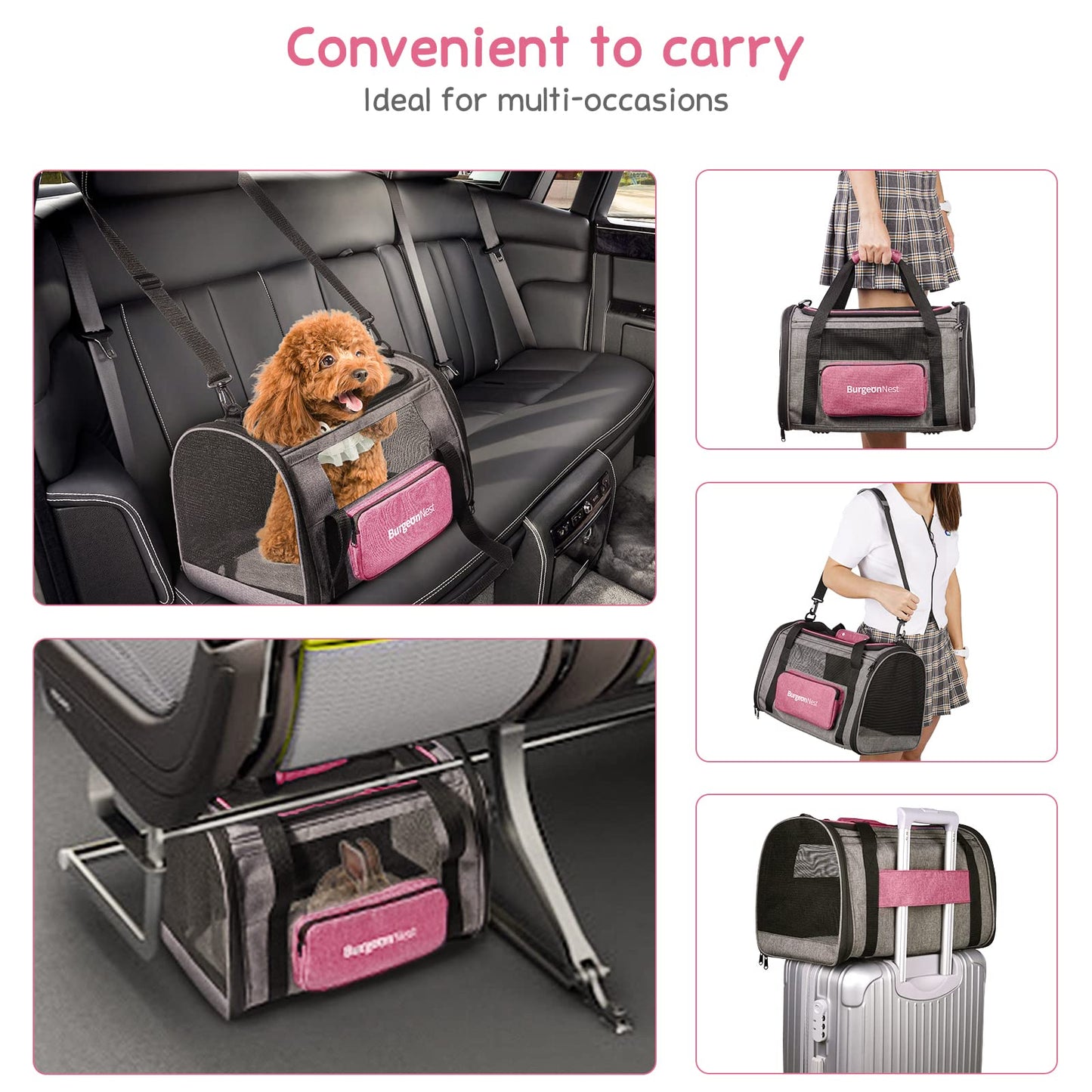 BurgeonNest Cat Carriers for Medium Puppy Under Pet Carrier