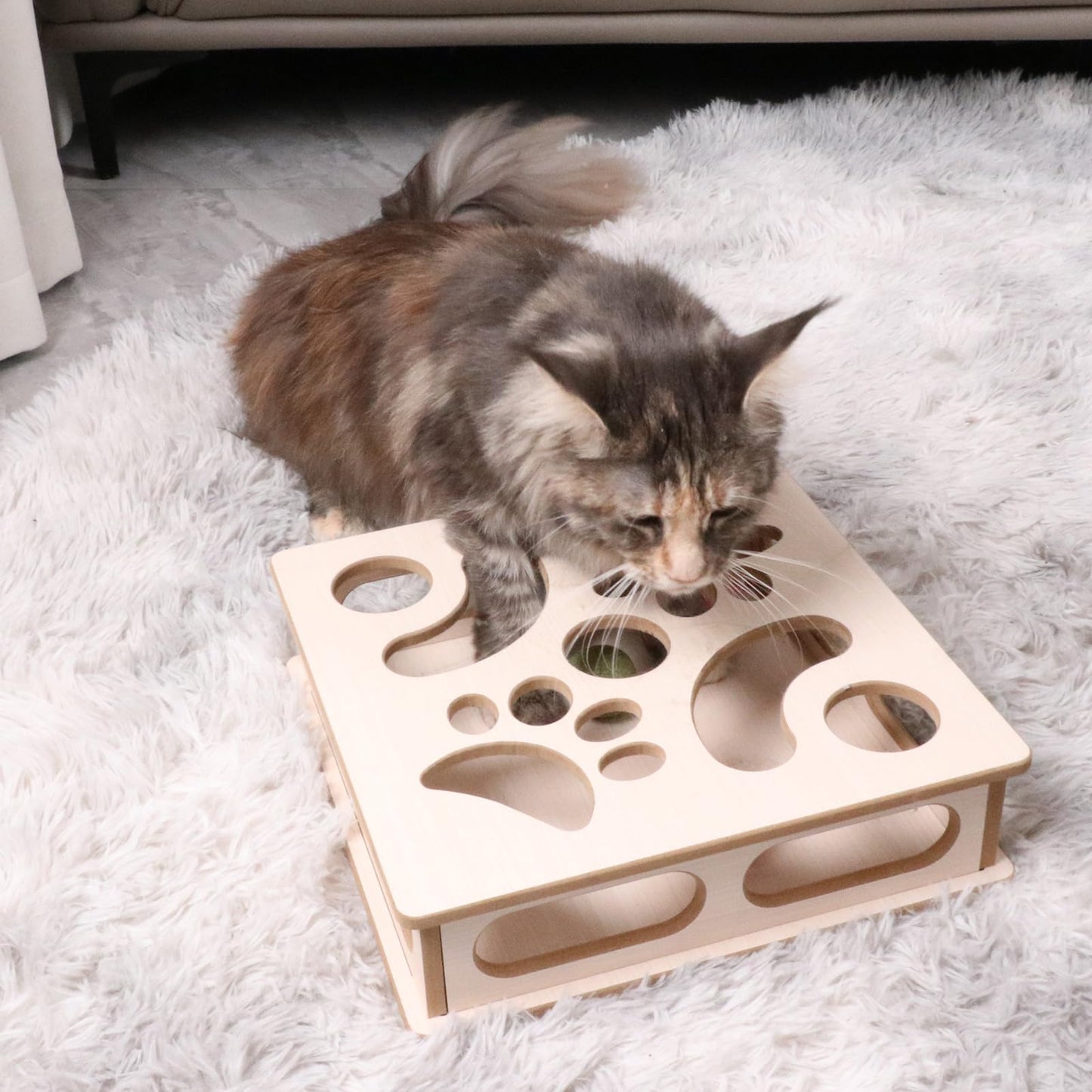 DI BI GRAMAS Cat Interactive Box Puzzle Toy with 3 Small Balls Balls