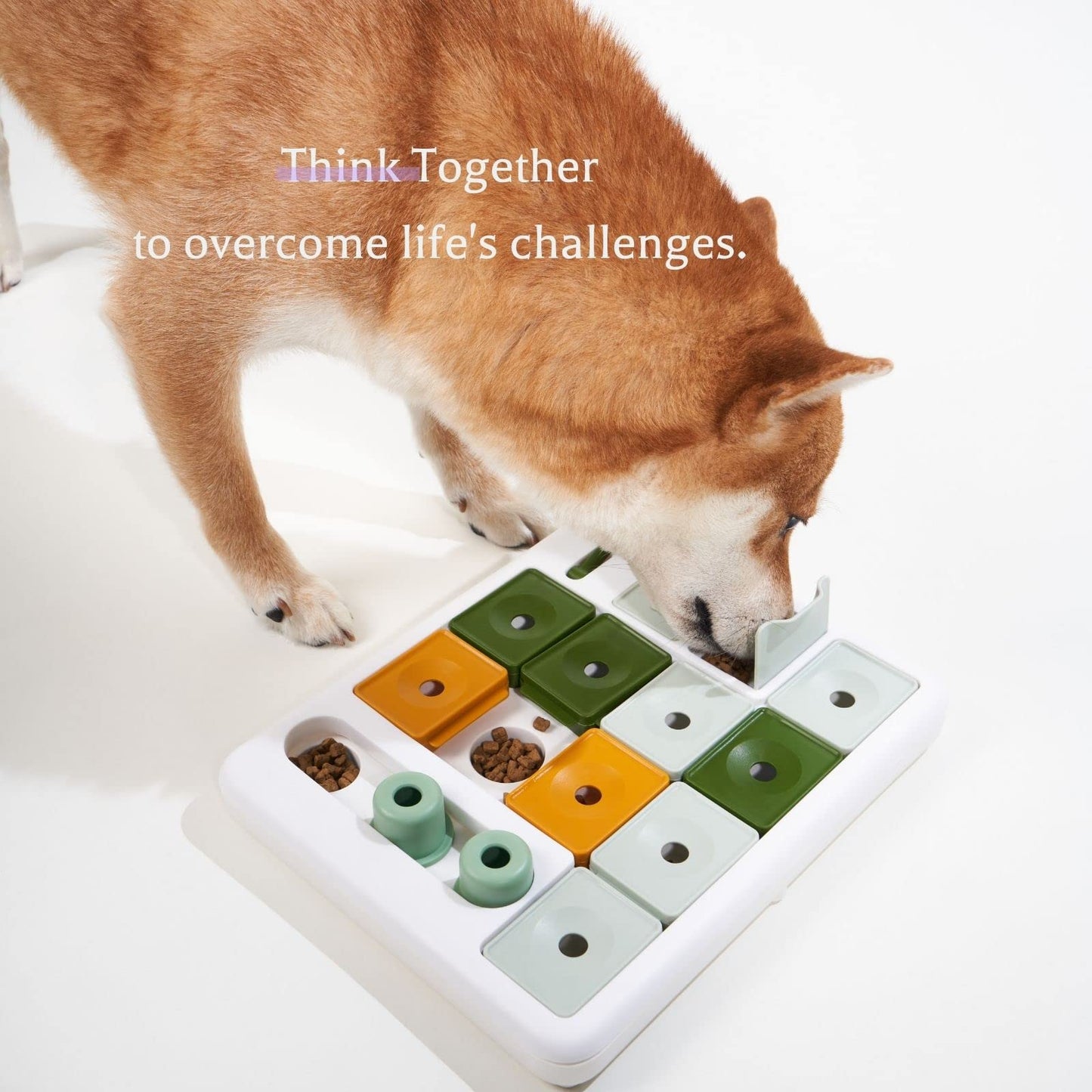 Barkwhiz Dog Puzzle Toy 3 Levels, Mental stimulating for Boredom Toy