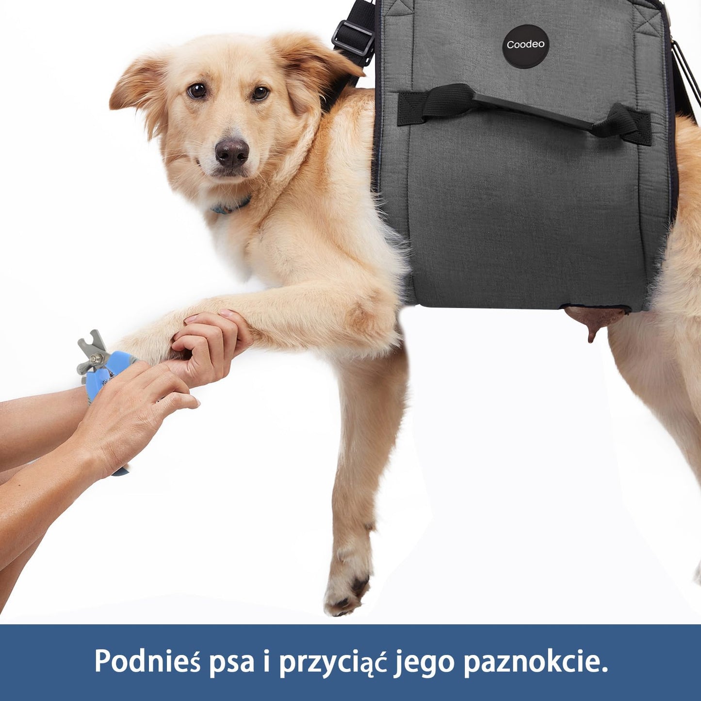 COODEO Dog Carry Sling, Emergency Backpack Pet Legs Support Carrier