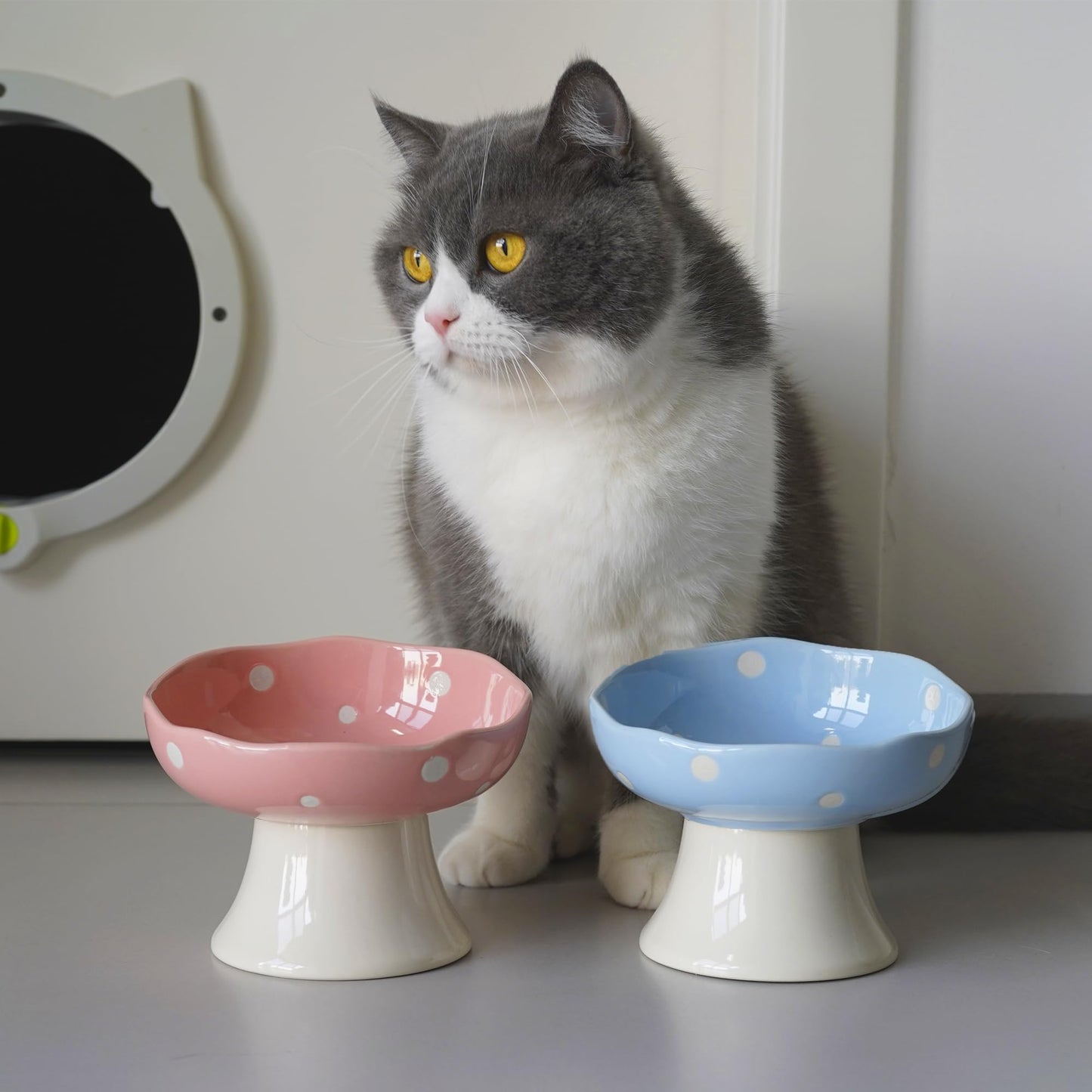 TRUNDISAN Ceramic Raised Cat Bowl, Mushroom Shaped Tilted Feeding Bowl