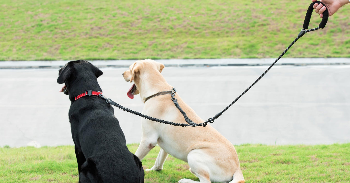 iYoShop Dual Dog Leash 360° Swivel, No Tangle Walking Leash with Leash