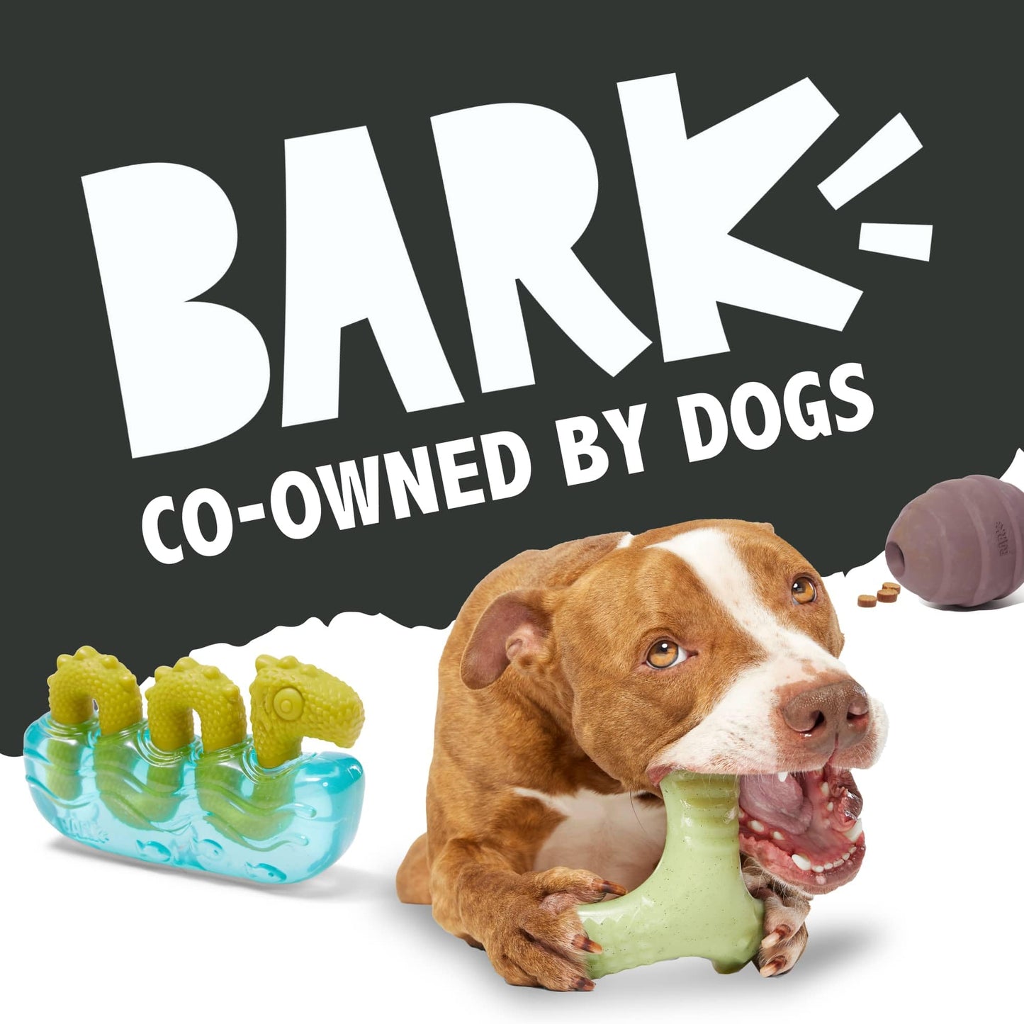 Barkbox Flingray Dog Toy for Large Aggressive Chewers Durable Toy