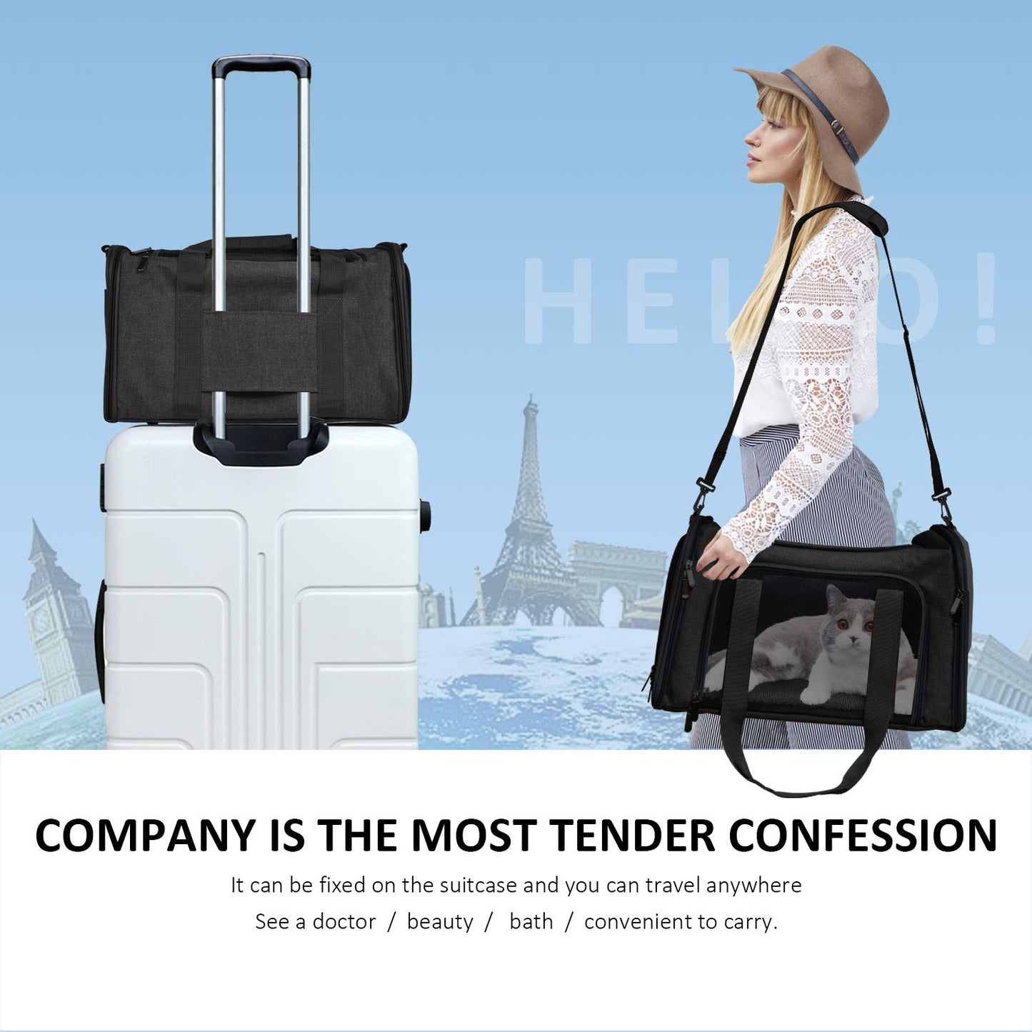 Henkelion Large Soft Sided Cat and Pet Carrier for Cats and Carrier