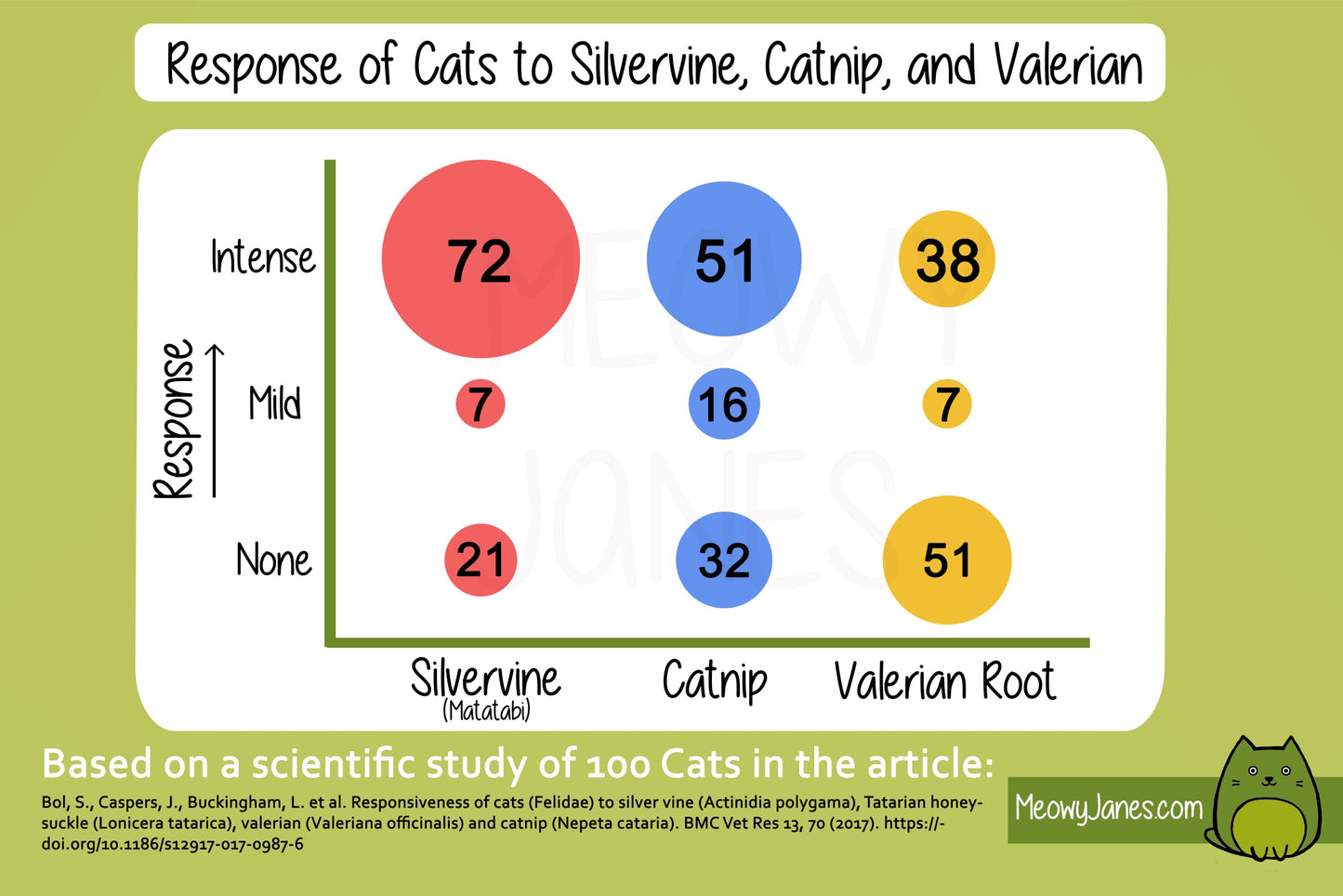 Meowy Janes Whole Silvervine Fruit- Dried Silvervine Gall Fruit Toy