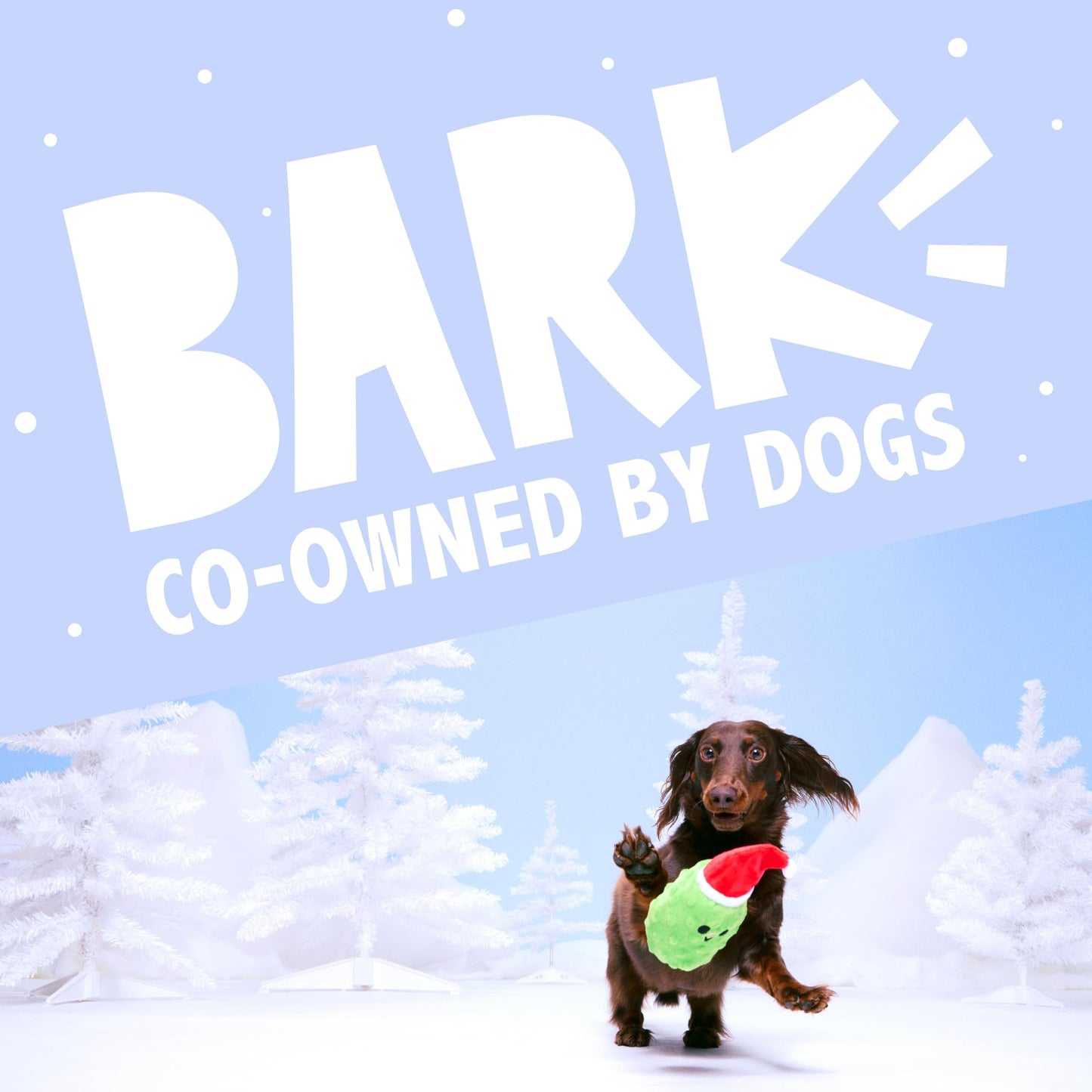 Barkbox Dog Advent Calendar Holiday Gift Box with 8 Festive Plush
