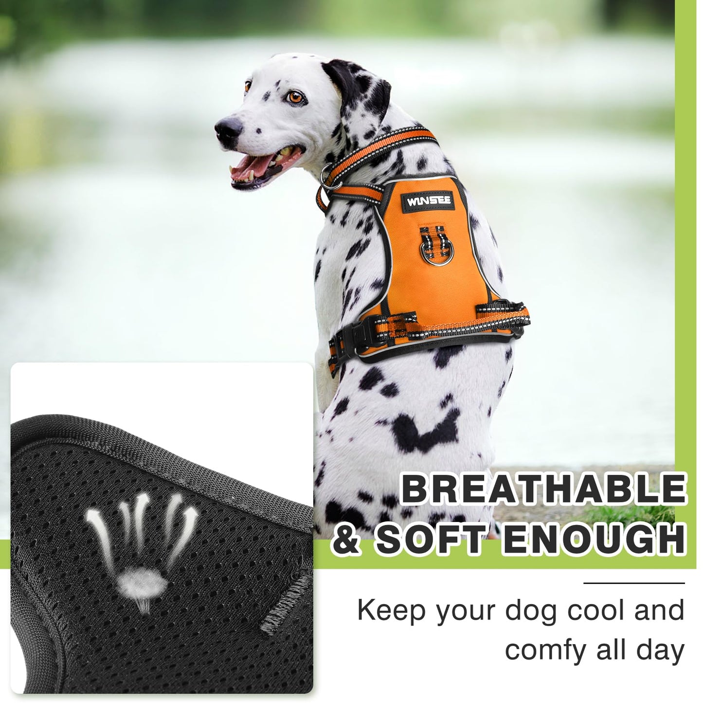WINSEE Dog Harness No Pull, Pet Harnesses with Dog Collar, Collar