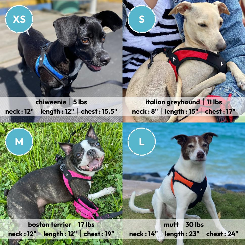 Gooby Escape Free Easy Fit Harness Small No Pull Step-in Harness