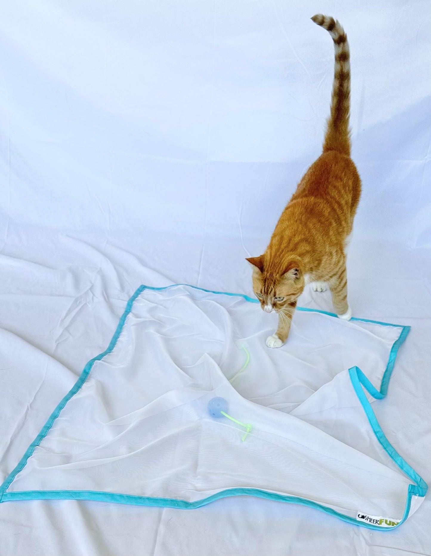 Sheer Fun For Cats Toy, Renews Old Toys, Engages Hunting Ball