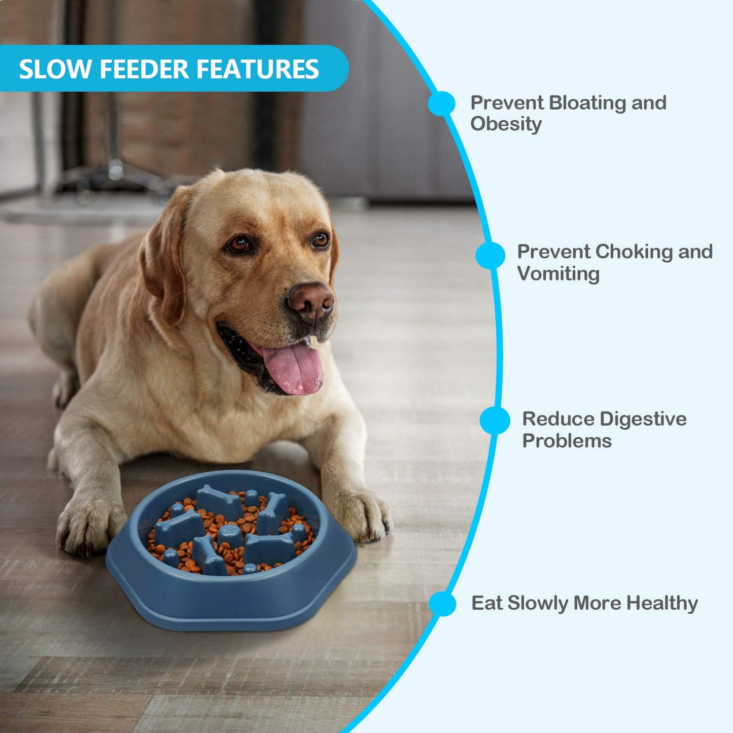 UPSKY 2PCS Slow Feeder Dog Bowl Anti-Chocking Slower Feeding Puzzle