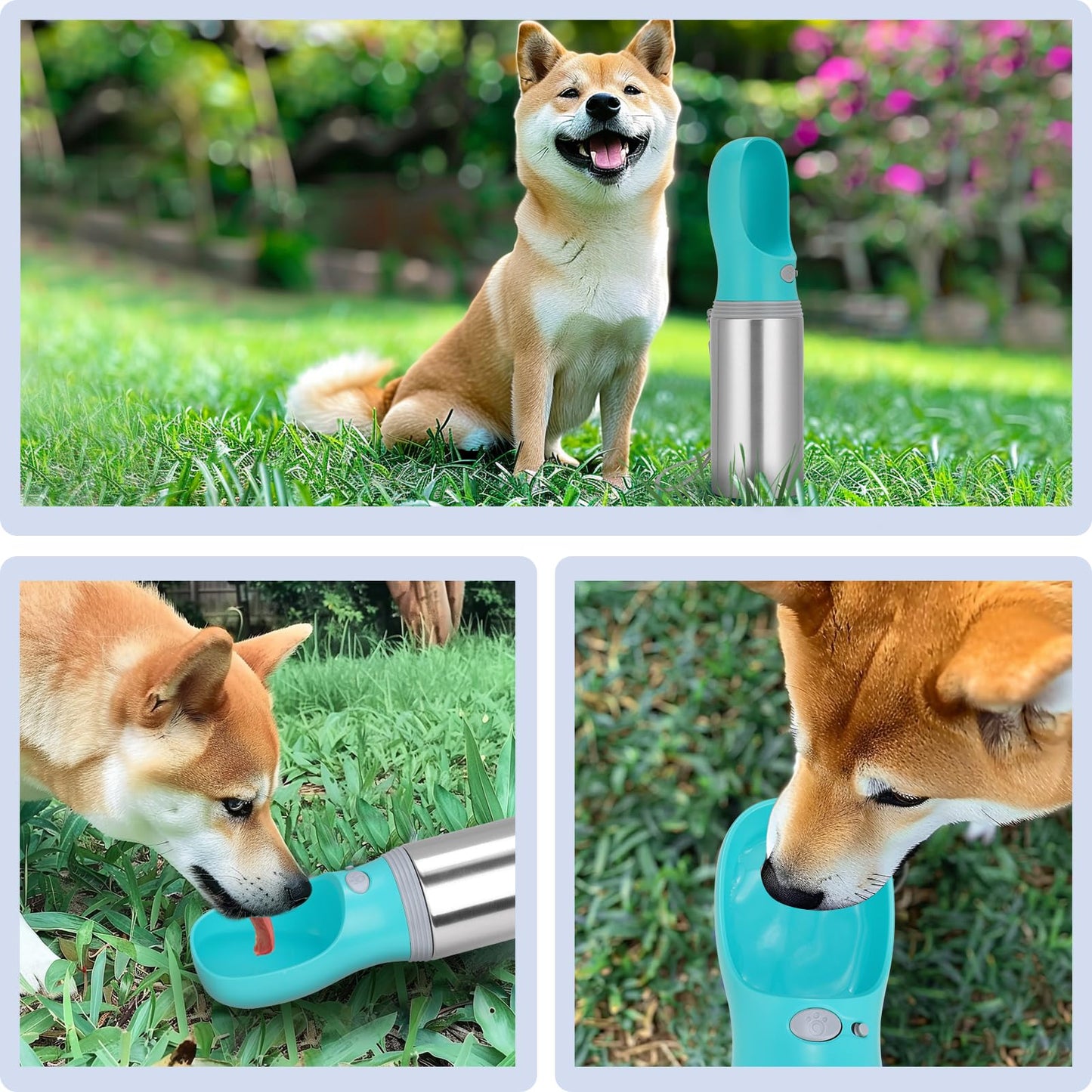 Portable Dog Water Bottle, Stainless Steel Leak Proof Puppy Dispenser