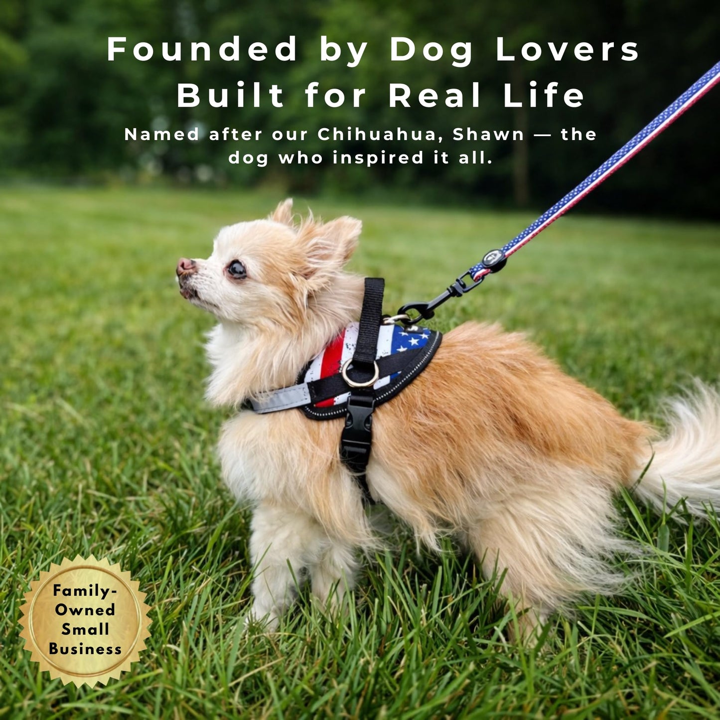 ShawnCo Essential Dog Harness, No-Pull Pet Vest with 3 Leash Leash