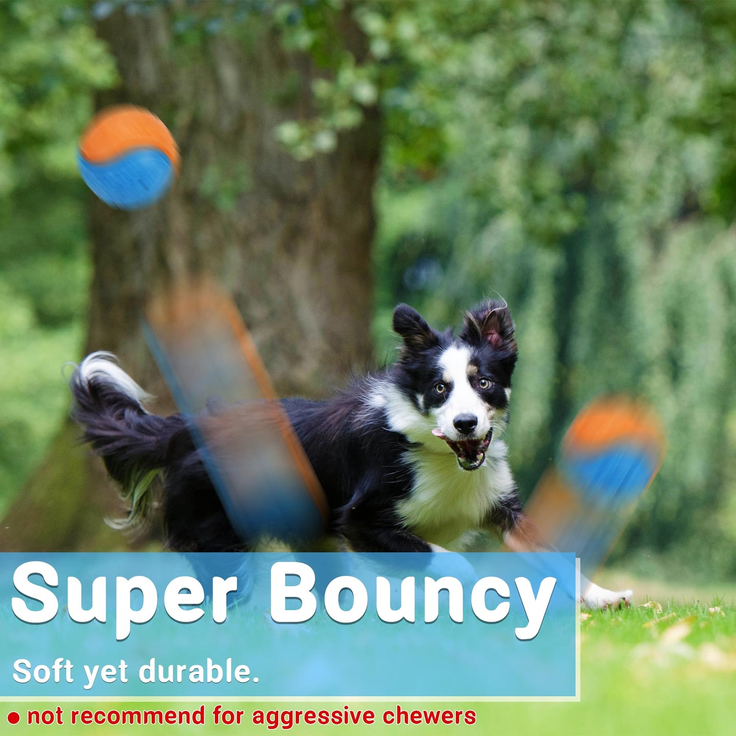 LECHONG Squeaky Dog Balls Toys for Training, Dog Toys to Keep Chew
