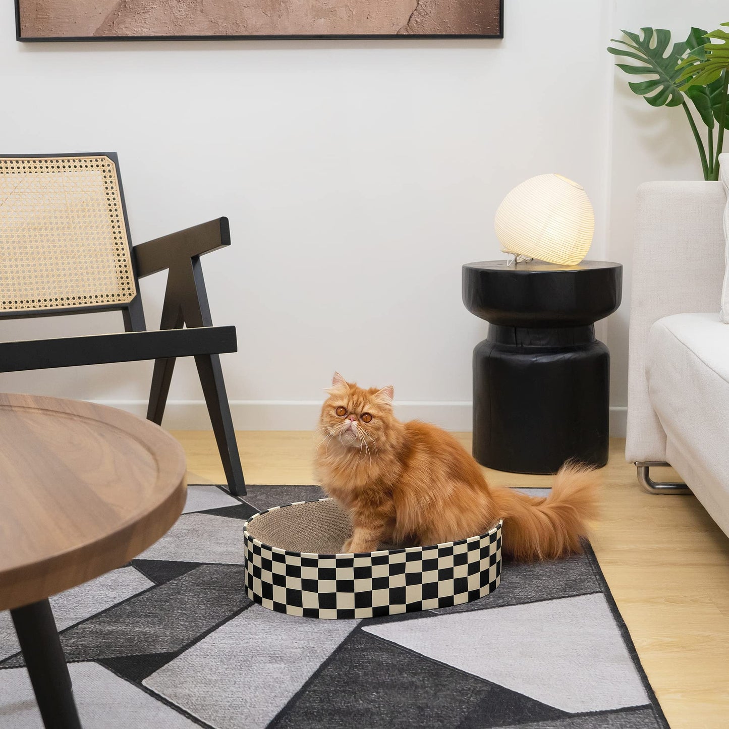 Conlun Cat Scratcher Bed, 1 Oval Cat Scratching Board