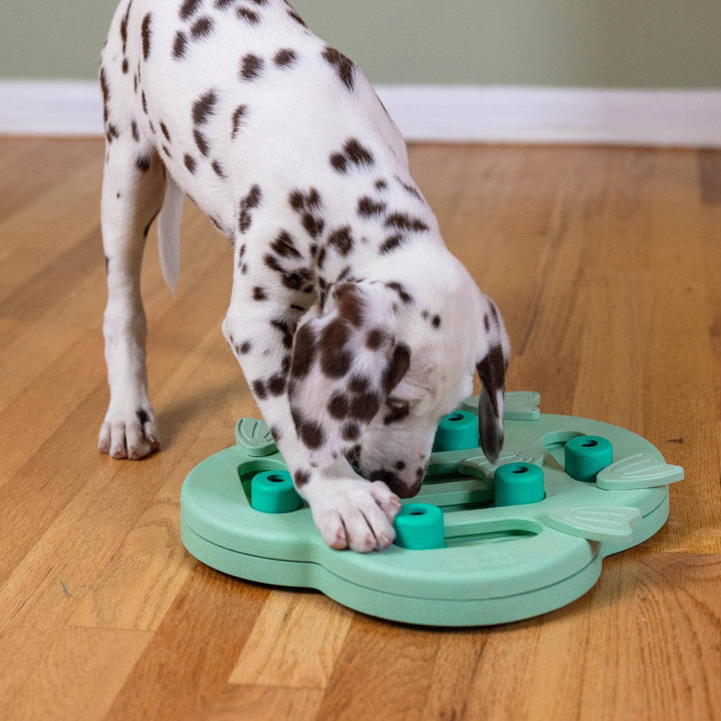 Outward Hound by Nina Ottosson Puppy Hide N' Slide Treat Puzzle
