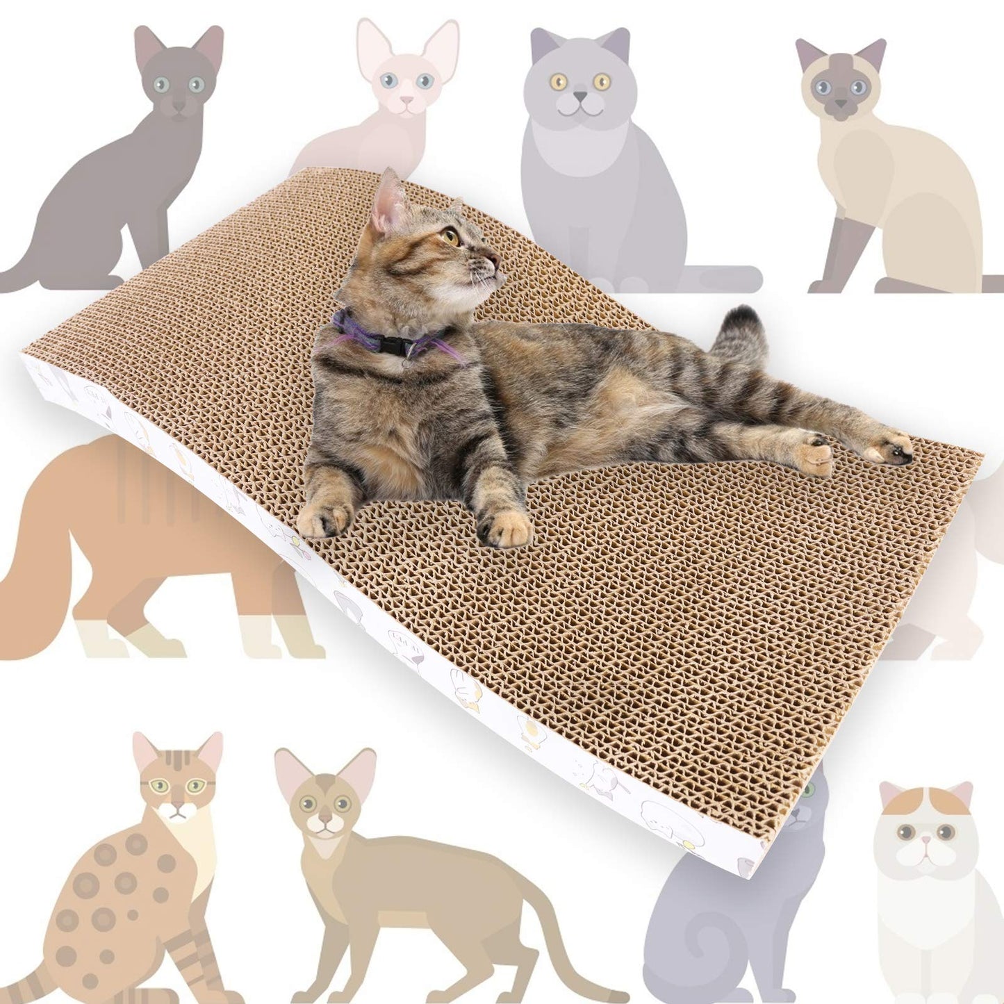 PatiencET 3 Pack Cat Scratcher Pad Recycle Corrugated Cat Furniture