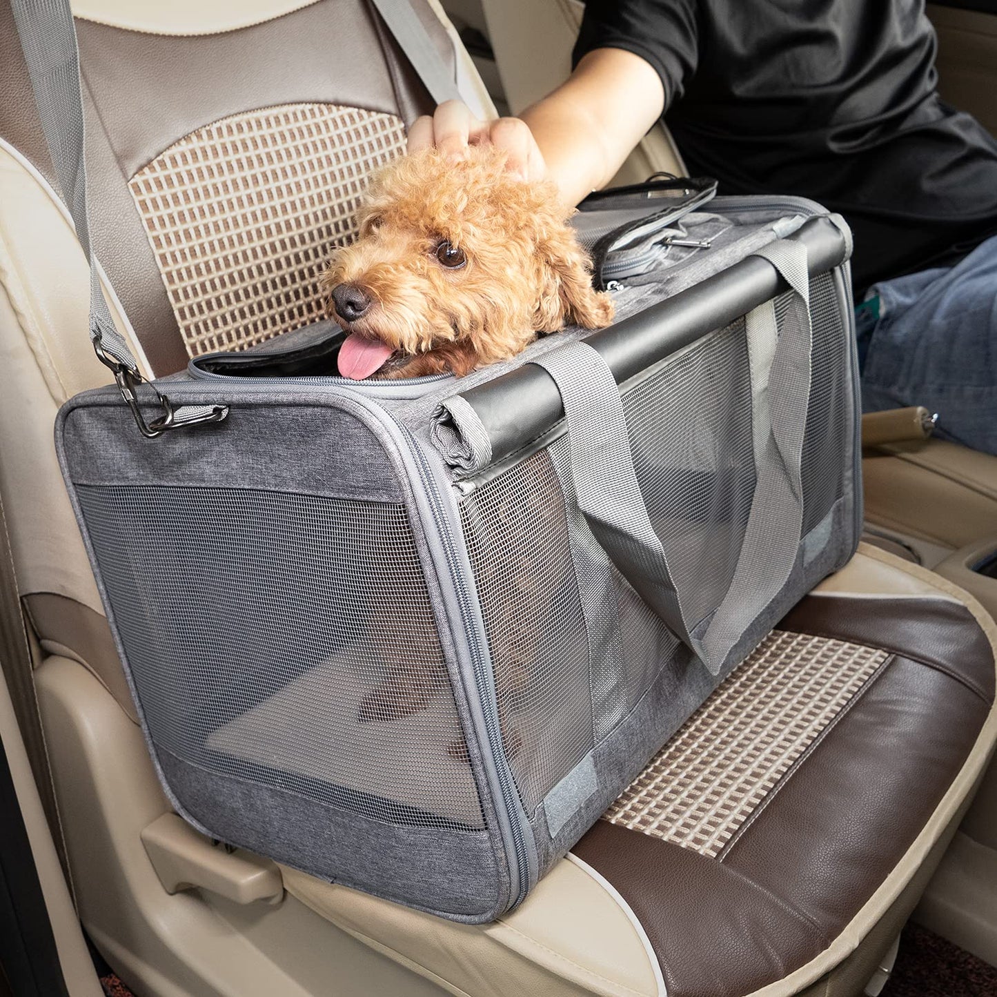GAPZER Pet Carrier for Large Cats, Soft-Sided Cat Carrier
