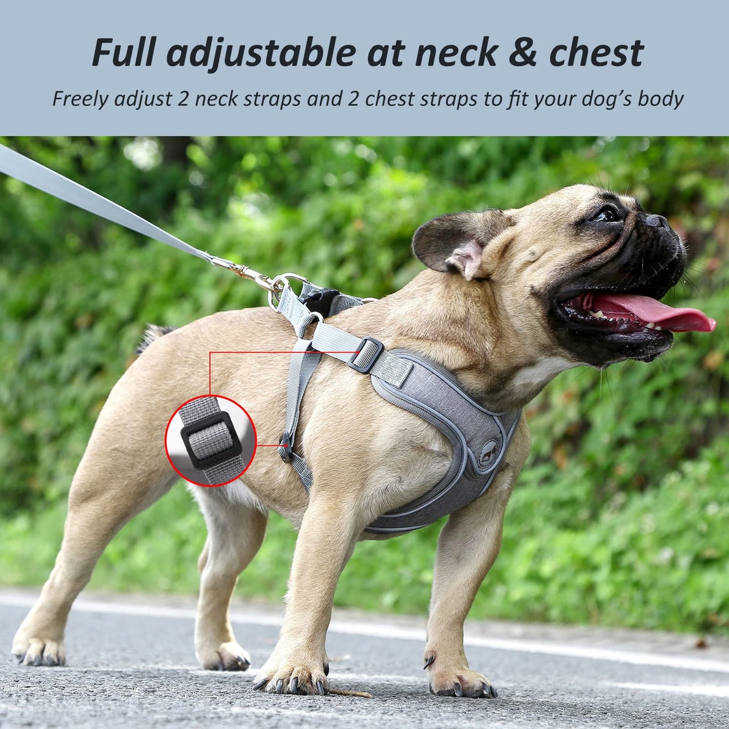 Dog Harness with Leash Set, No Pull Adjustable Step in Dog Collars Set