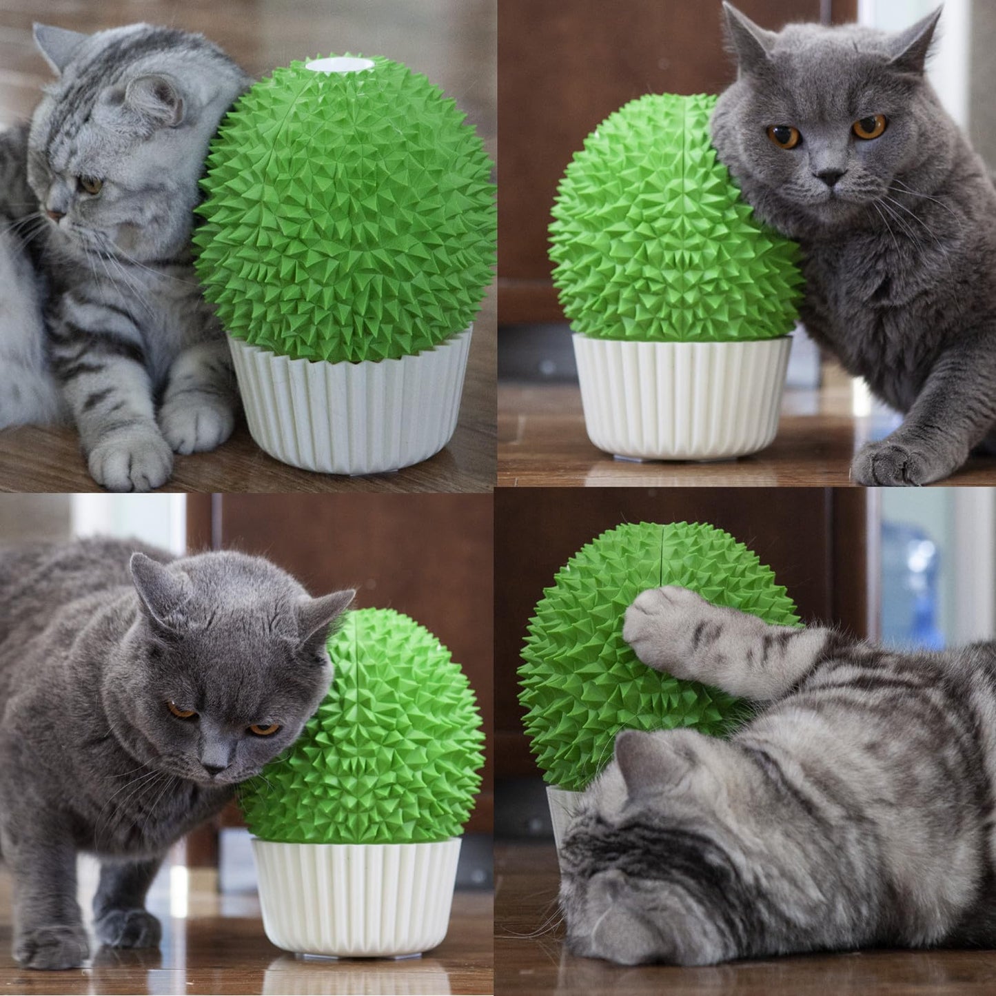 Miwoowim Catnip Feeder and Self Grooming Toys Cat Face Scratcher