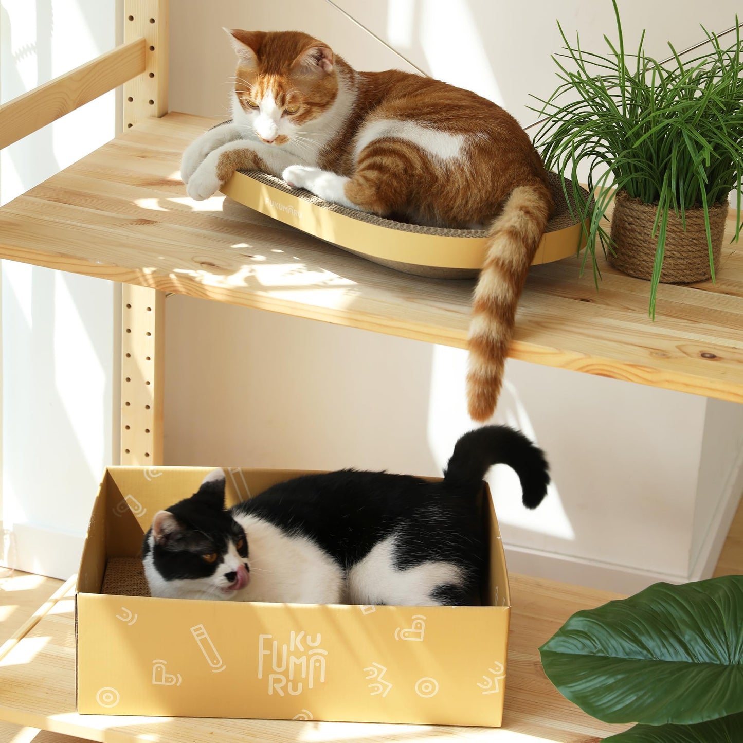 FUKUMARU 3PCS Cardboard Cat Scratcher Bed, Durable Oval Cat Bed