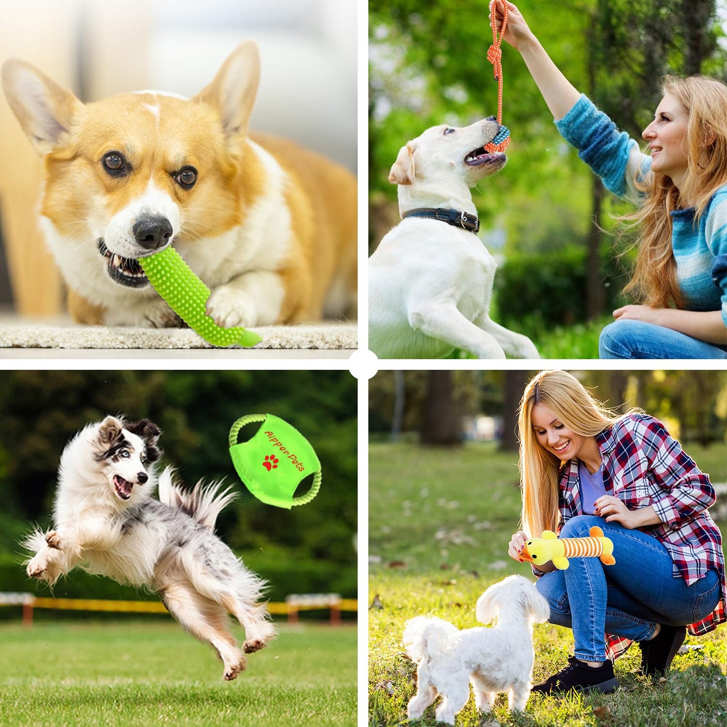 Aipper Dog Toys 25 Pack for Fun and Teeth Cleaning, Puppy Chew Toys