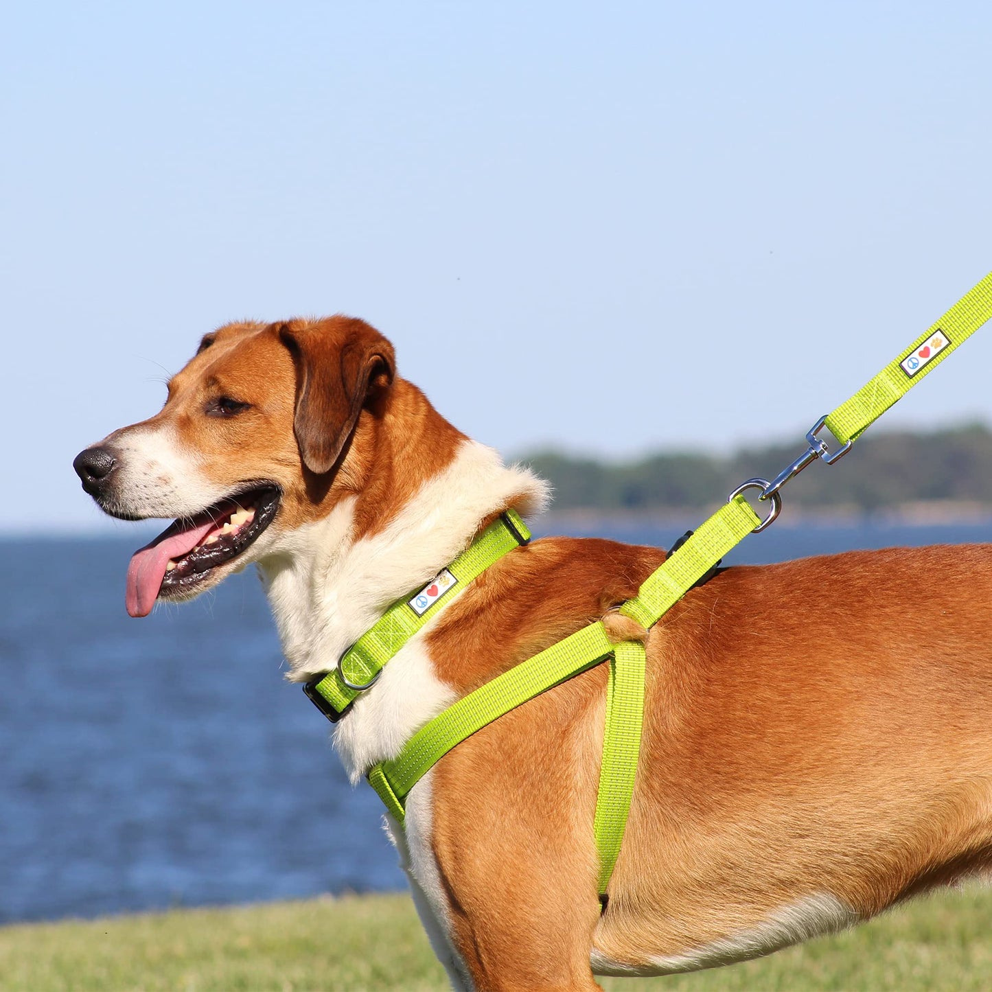 Pawtitas Reflective Step-in Dog Harness Adjustable No-Pull Vest