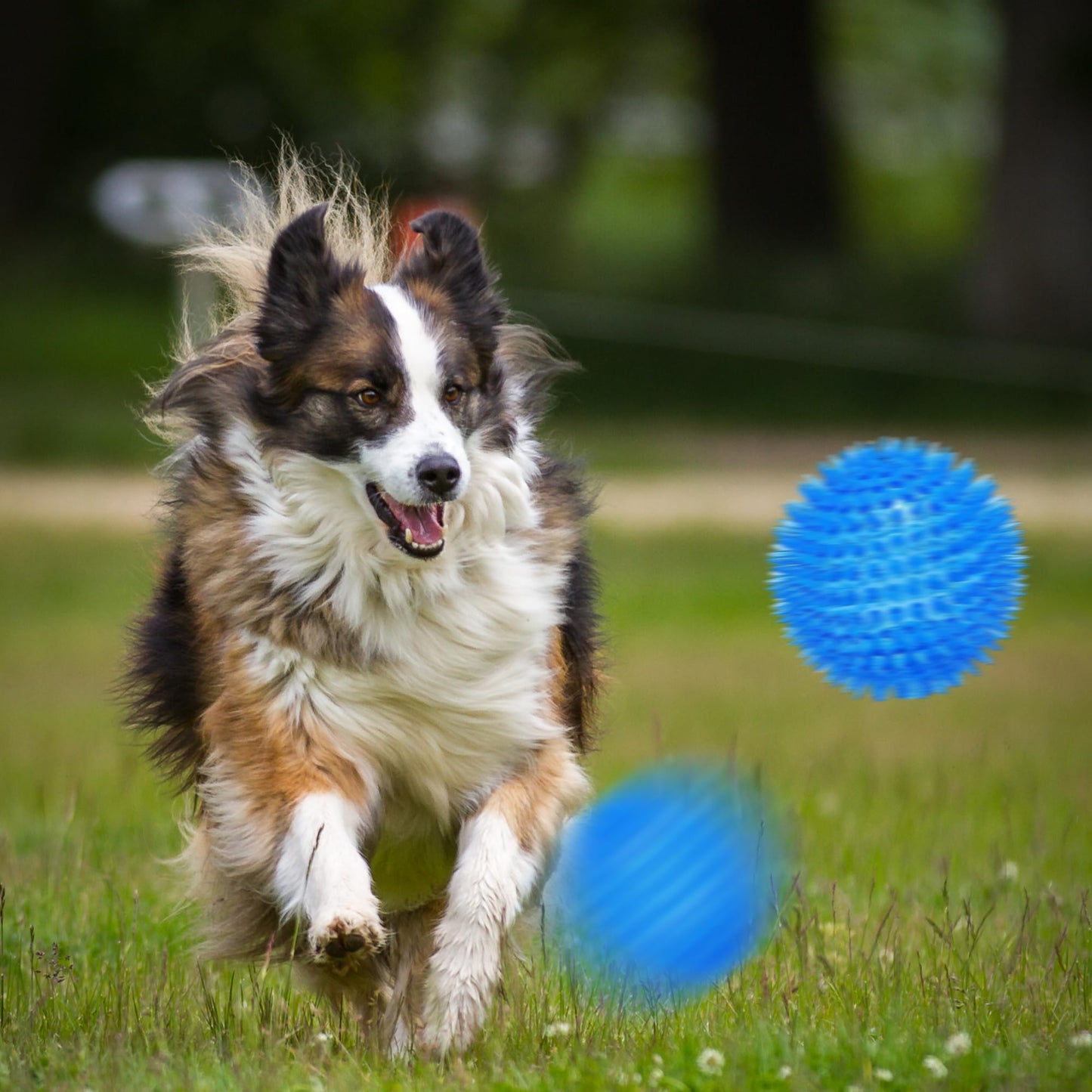 Ousiya 3.5” Squeaky Dog Toy Balls (6 Colors) Dog Toys Spikey Dogs Ball