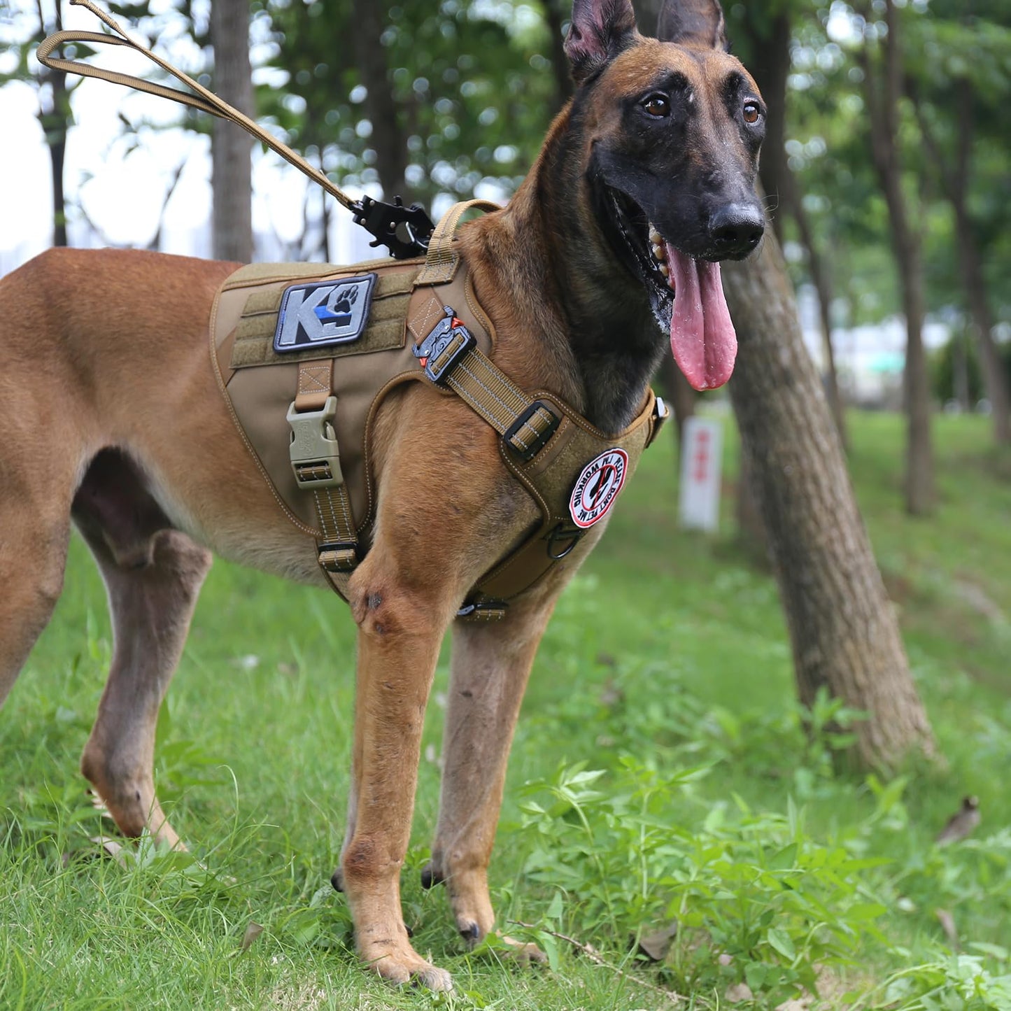 ICEFANG Tactical Dog Harness, Large Size,2X Metal Buckle,Working Leash