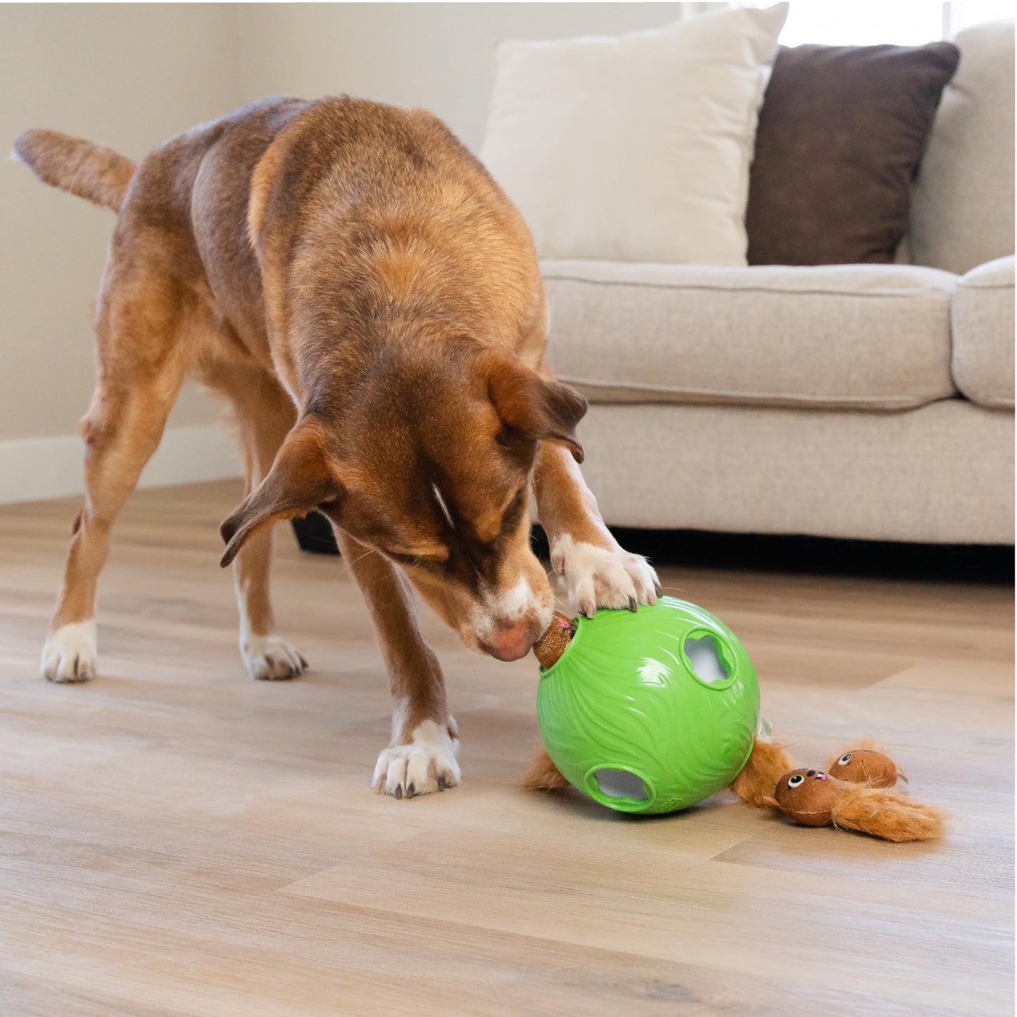 Outward Hound by Nina Ottosson Dog Snuffle N' Treat Ball Puzzle, Ball