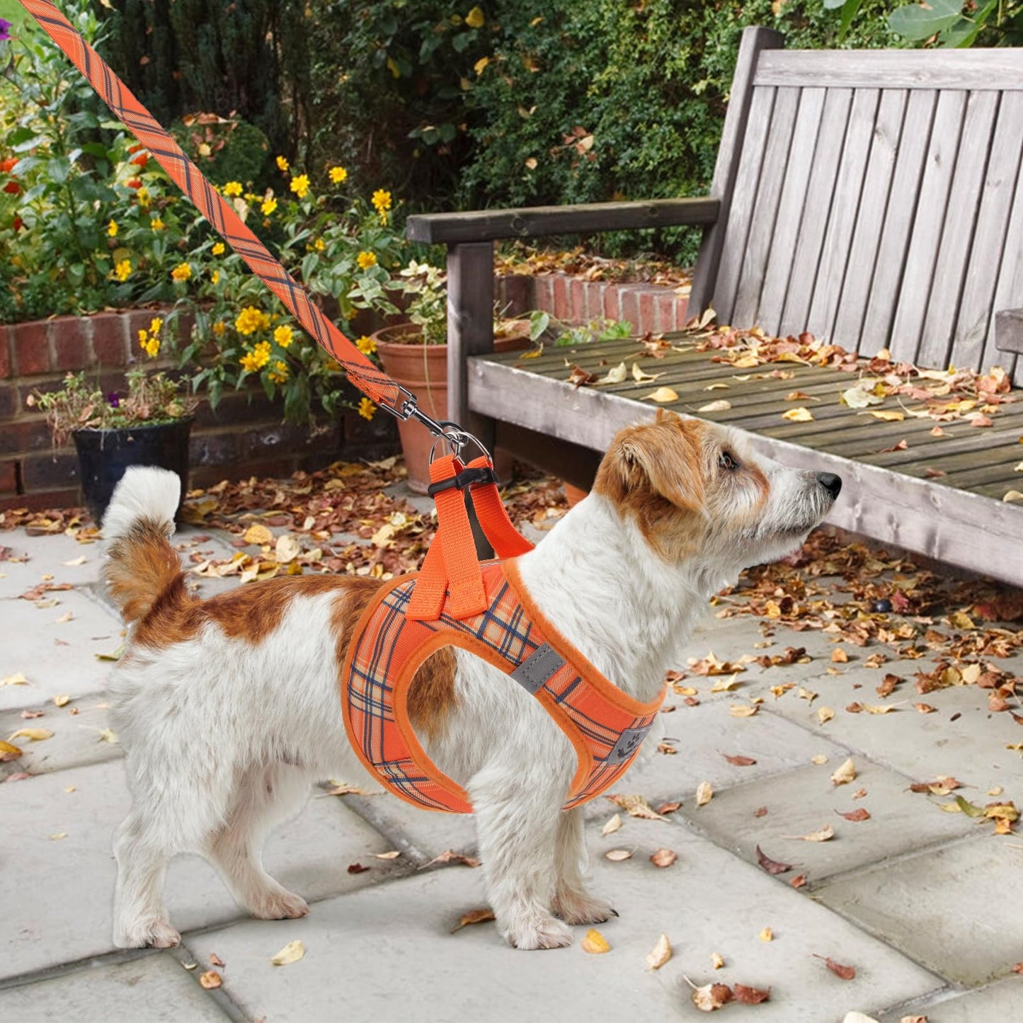 KOOLTAIL Thanksgiving Dog Harness for Small Medium Dogs,Dog Harness
