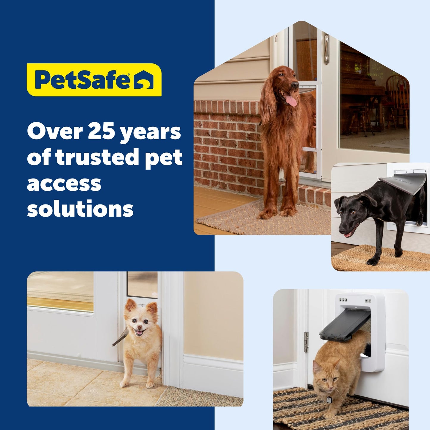 PetSafe Interior Cat Door: 4-Way Locking, Indoor Pet Door Flap Box